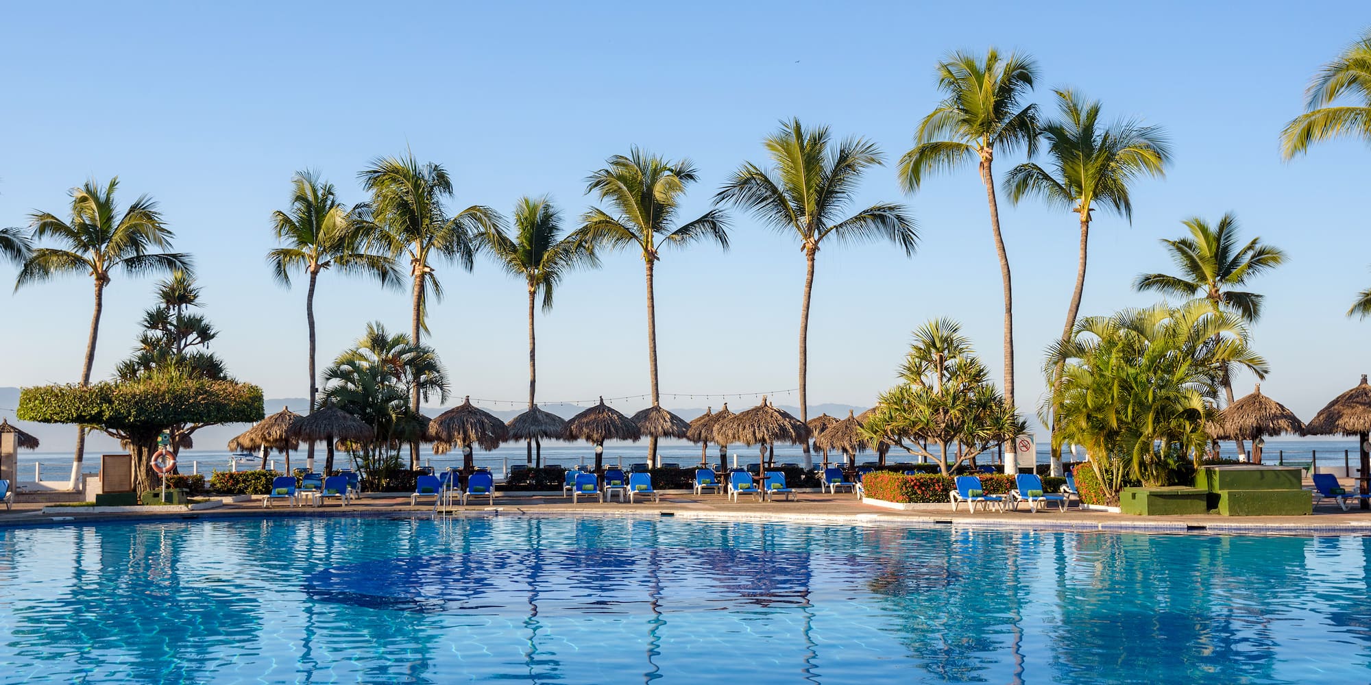 a pool with palm trees and chairs