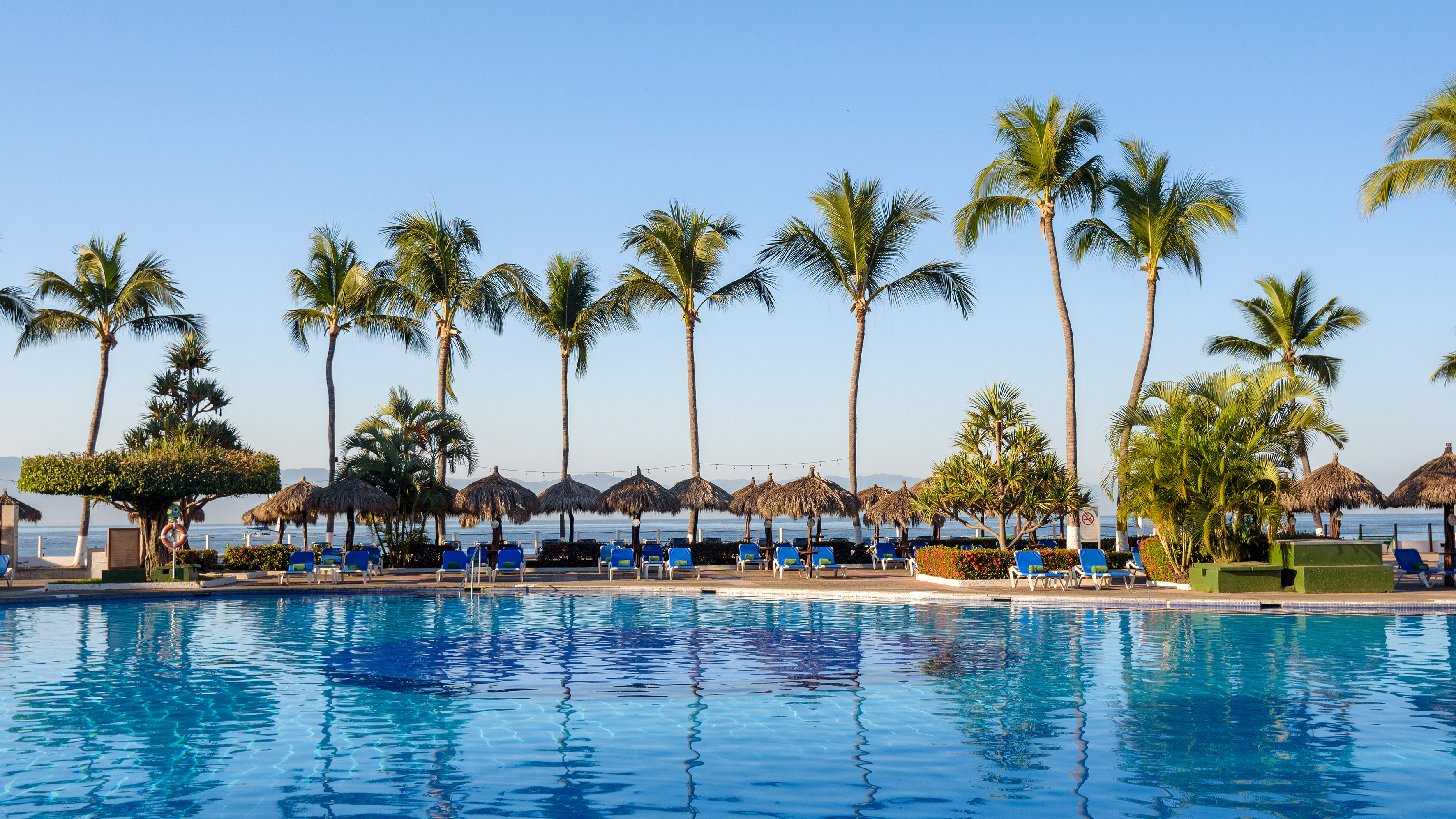 Tropical resort pool with palm trees, lounge chairs, and ocean.