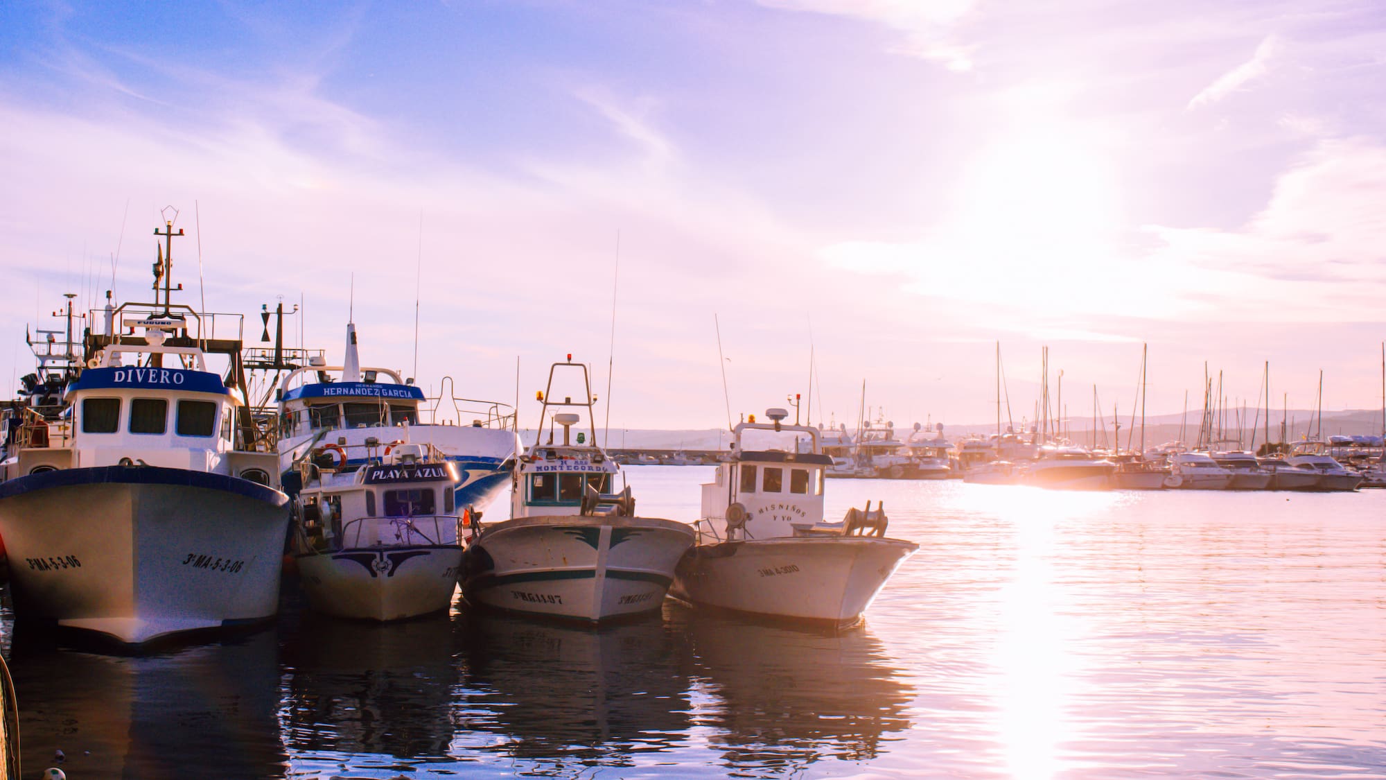 a group of boats in a harbor