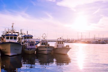a group of boats in a harbor