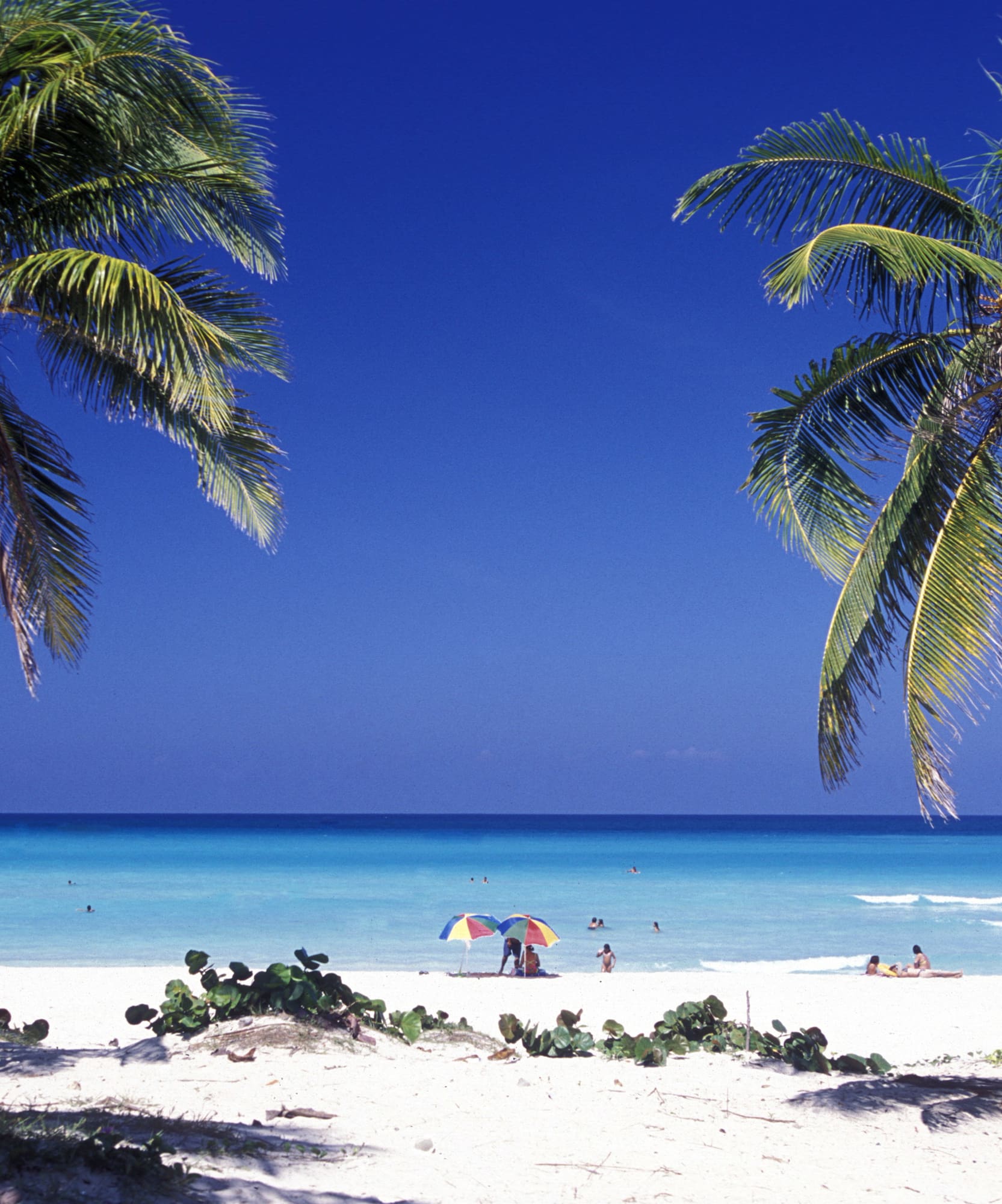 Playa paradisíaca con palmeras, mar Caribe turquesa y gente disfrutando.