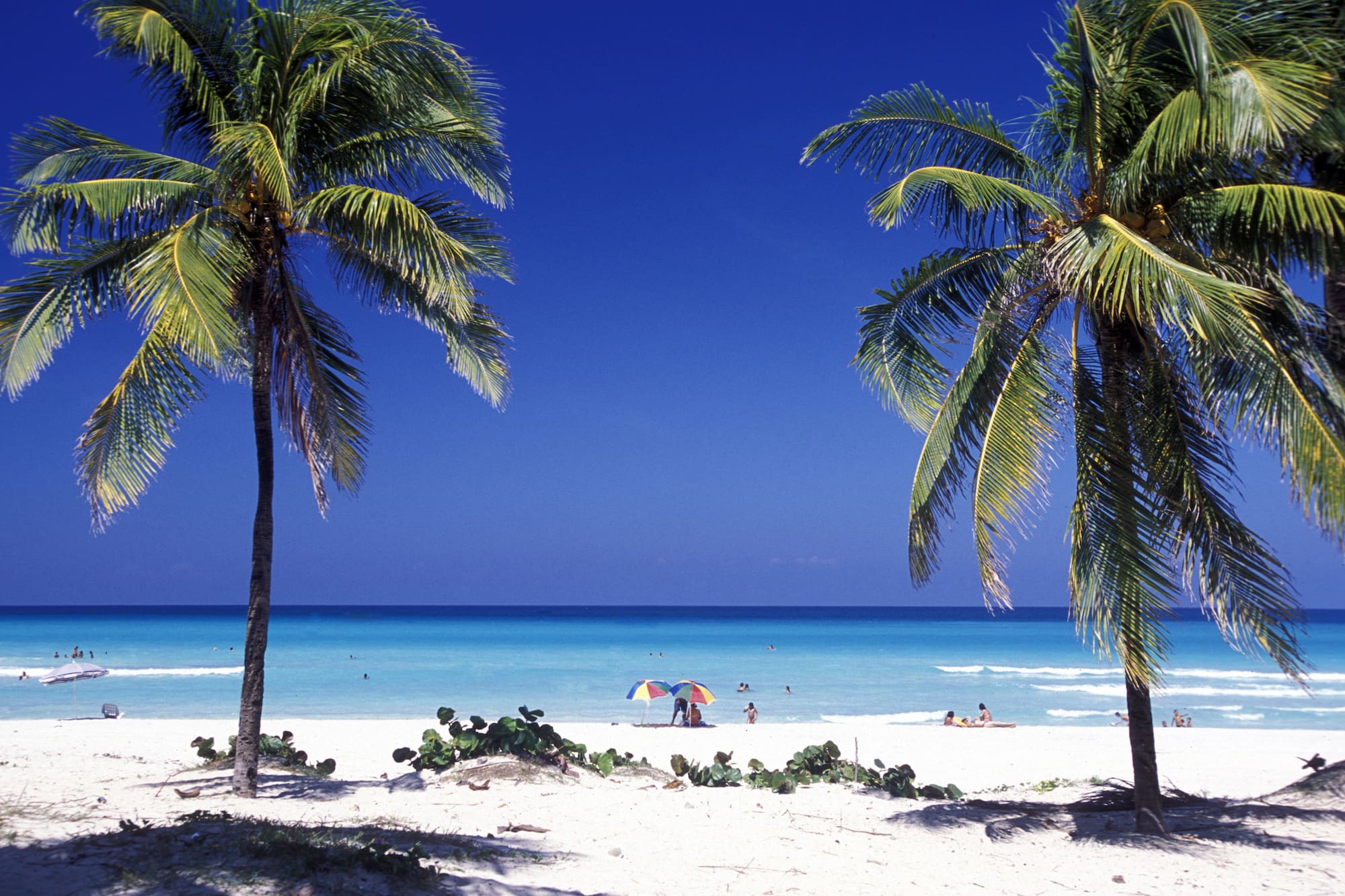 Playa paradisíaca con palmeras, mar Caribe turquesa y gente disfrutando.
