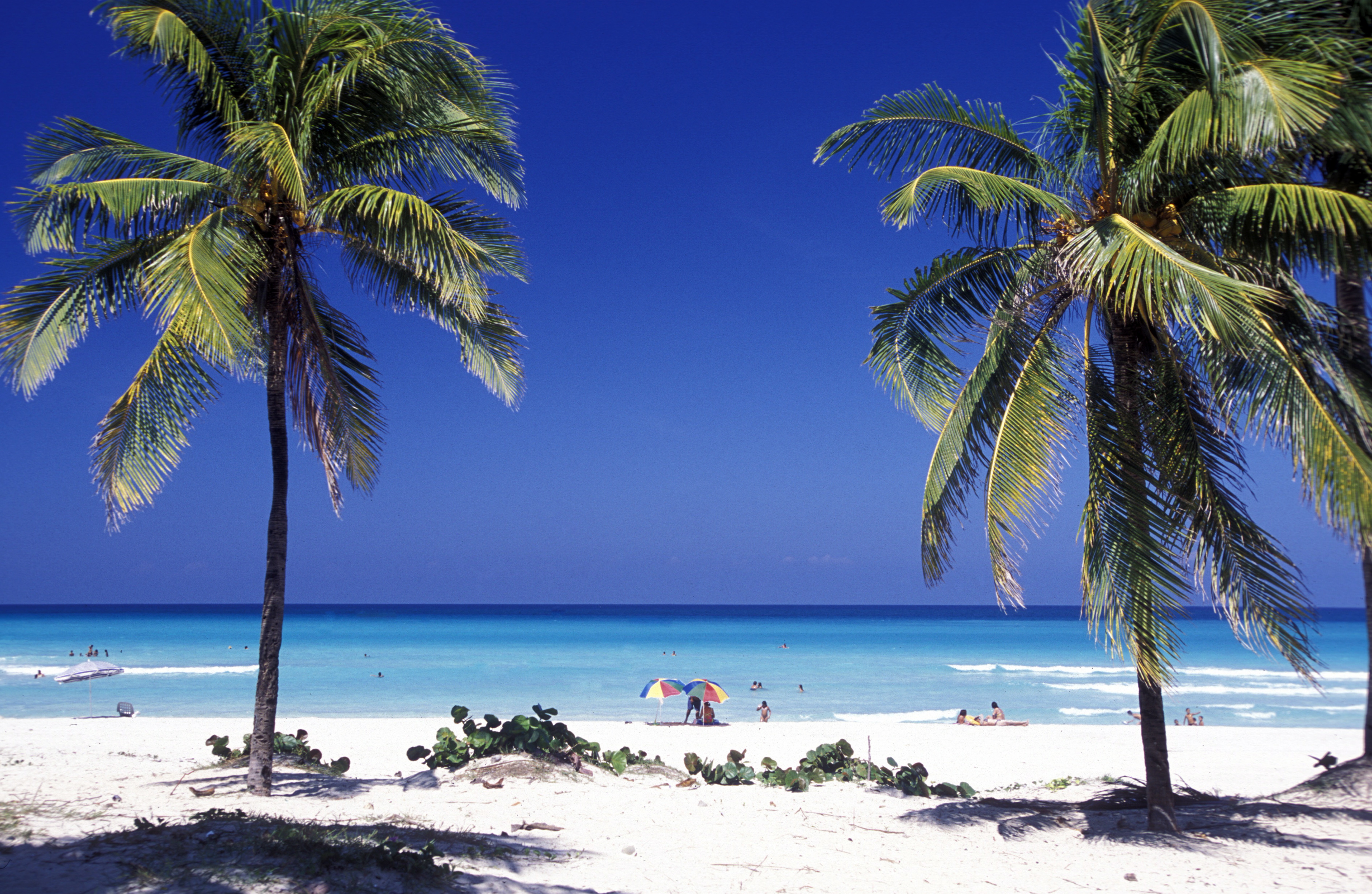 Playa paradisíaca con palmeras, mar Caribe turquesa y gente disfrutando.