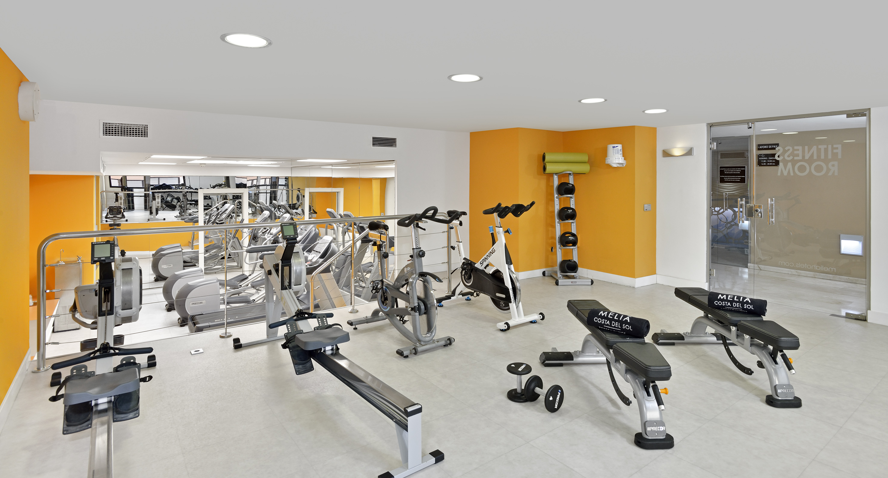 Melia Costa del Sol gym with cardio machines, rowers, and weight benches.