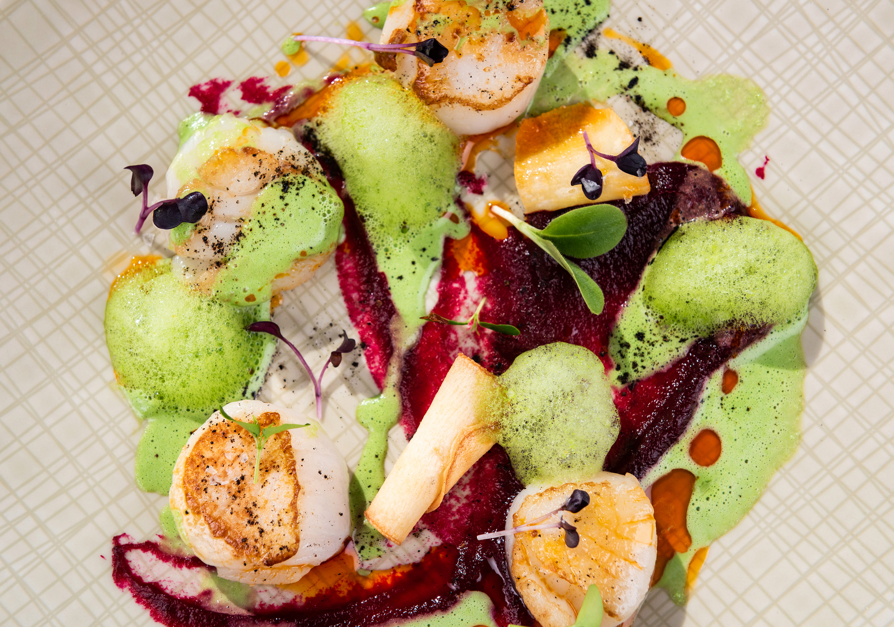 Gourmet seared scallops with green foam, beetroot puree, and microgreens on a plate.