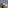 Berlin cityscape: Reichstag dome, Spree River, train on bridge, and tour boat.