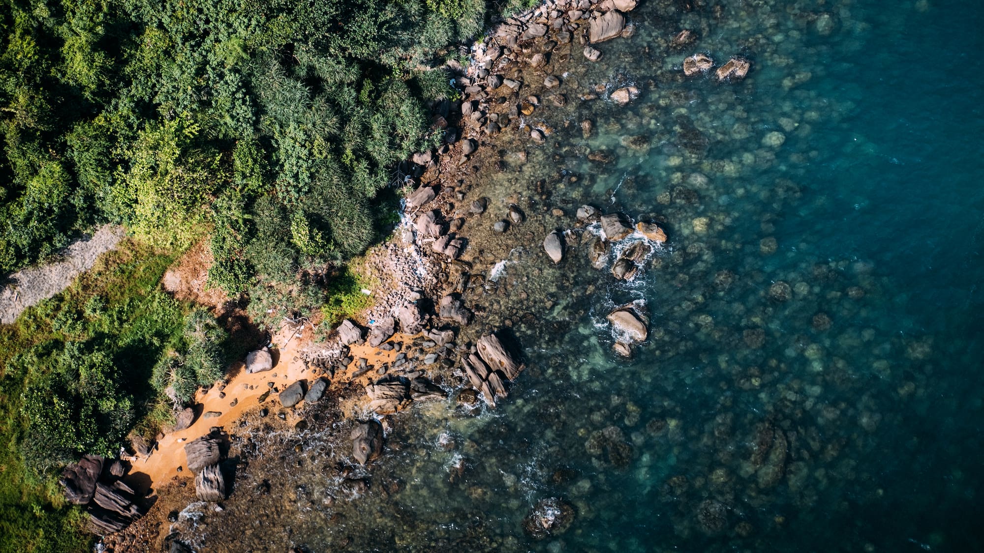 a rocky beach with trees and water