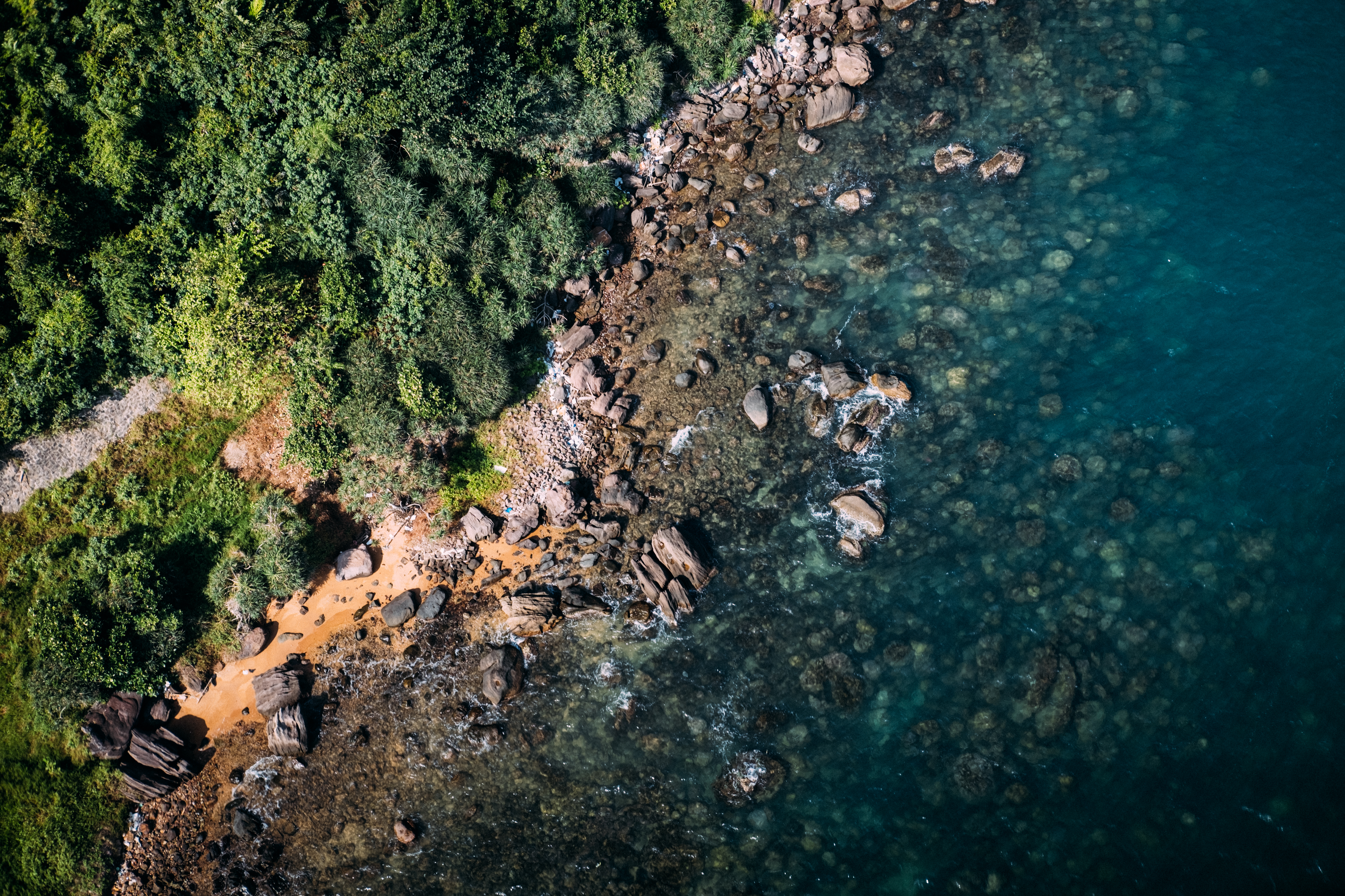 a rocky beach with trees and water
