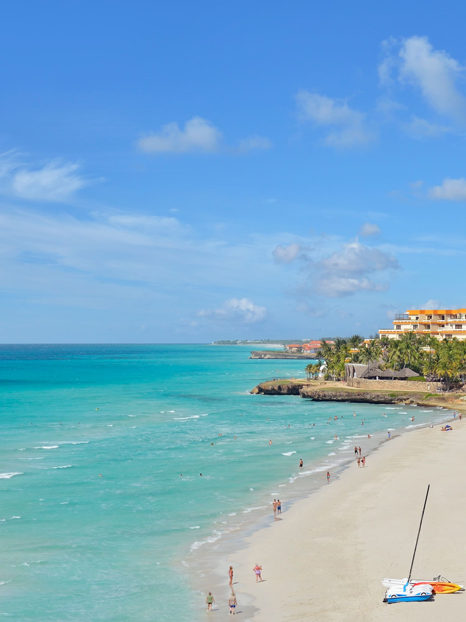 a beach with people and trees