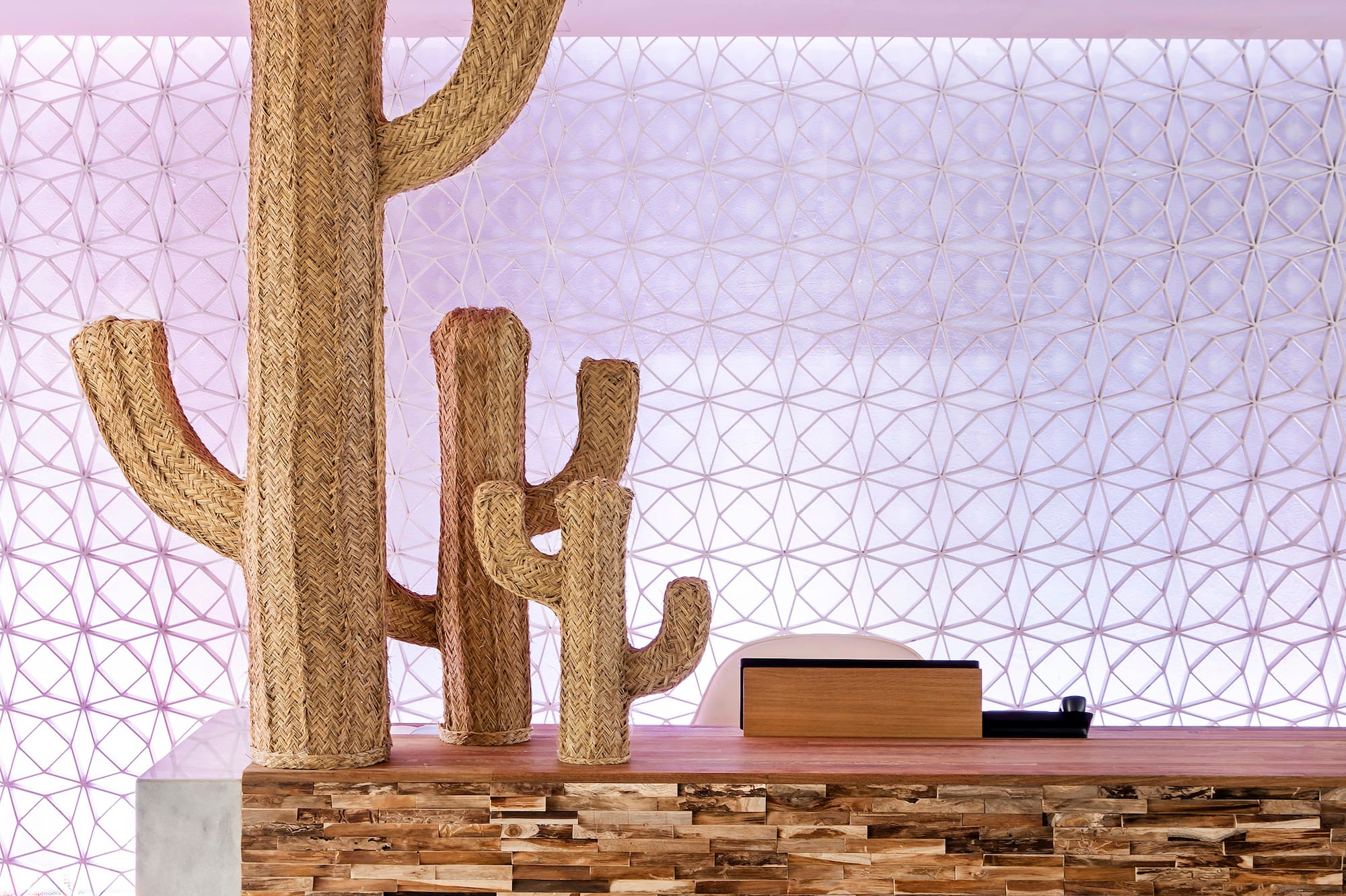 Straw cacti decor on wood reception desk, geometric backlit wall.
