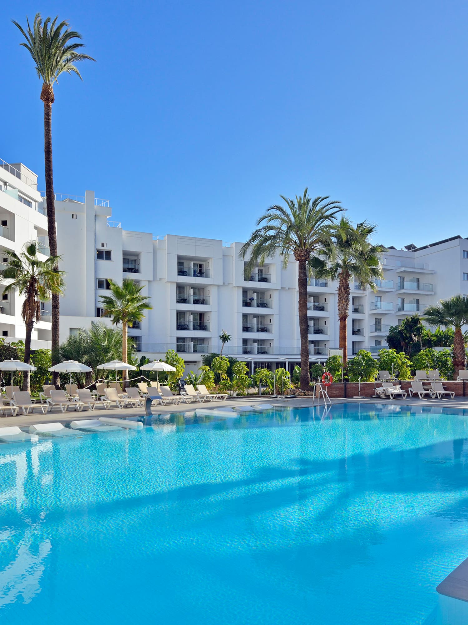 a swimming pool with palm trees and a building