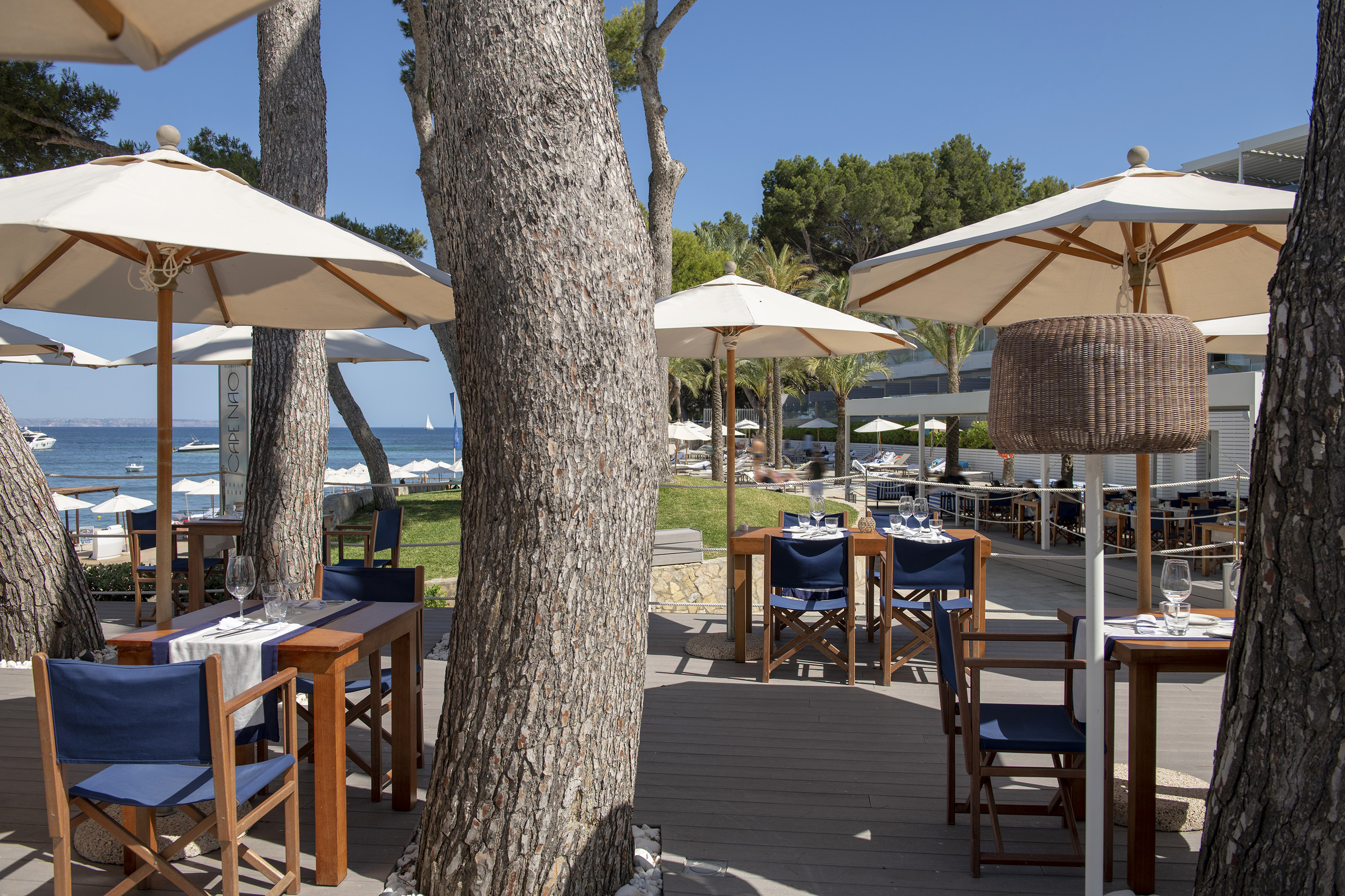 Outdoor beachfront dining with shaded tables, blue chairs, and ocean view.