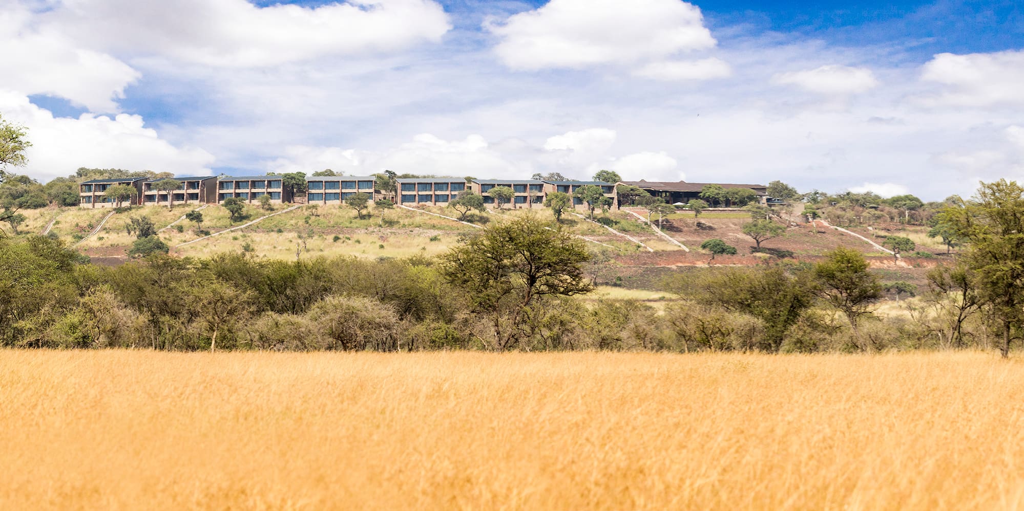 a building on a hill with trees and grass