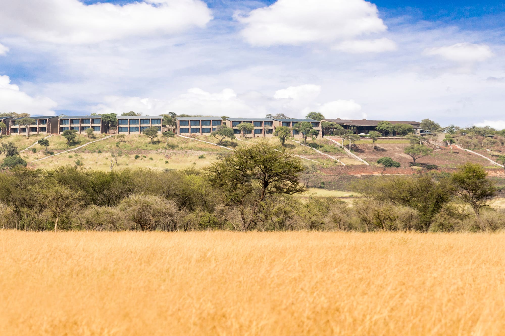 Modern lodge on a bush-covered hill overlooking golden savanna plains.