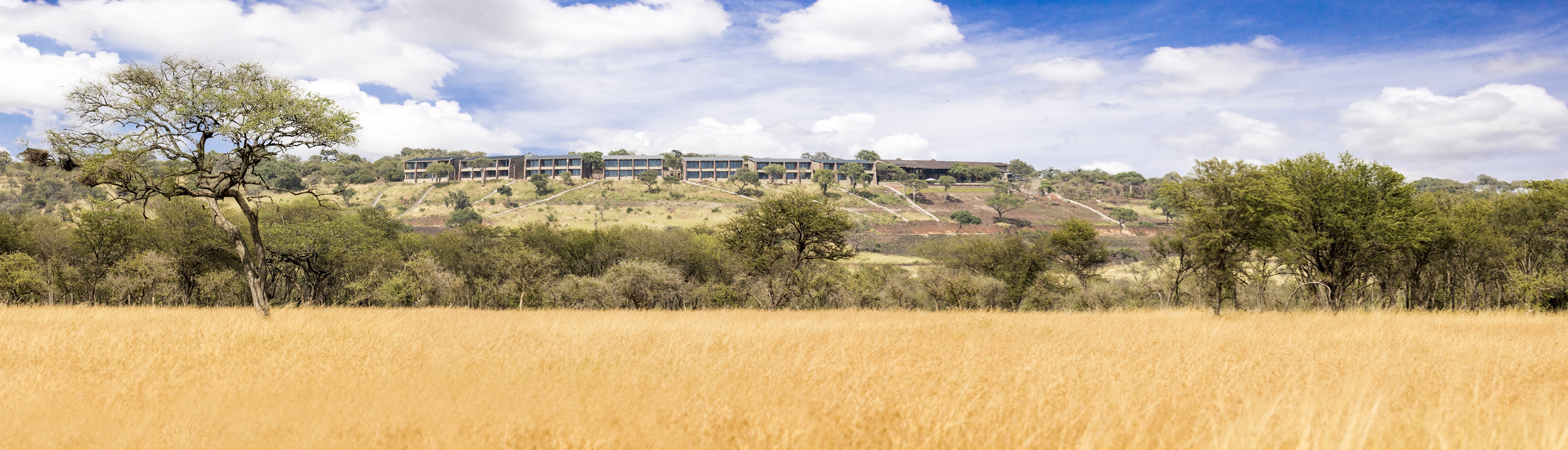 Modern lodge on a bush-covered hill overlooking golden savanna plains.