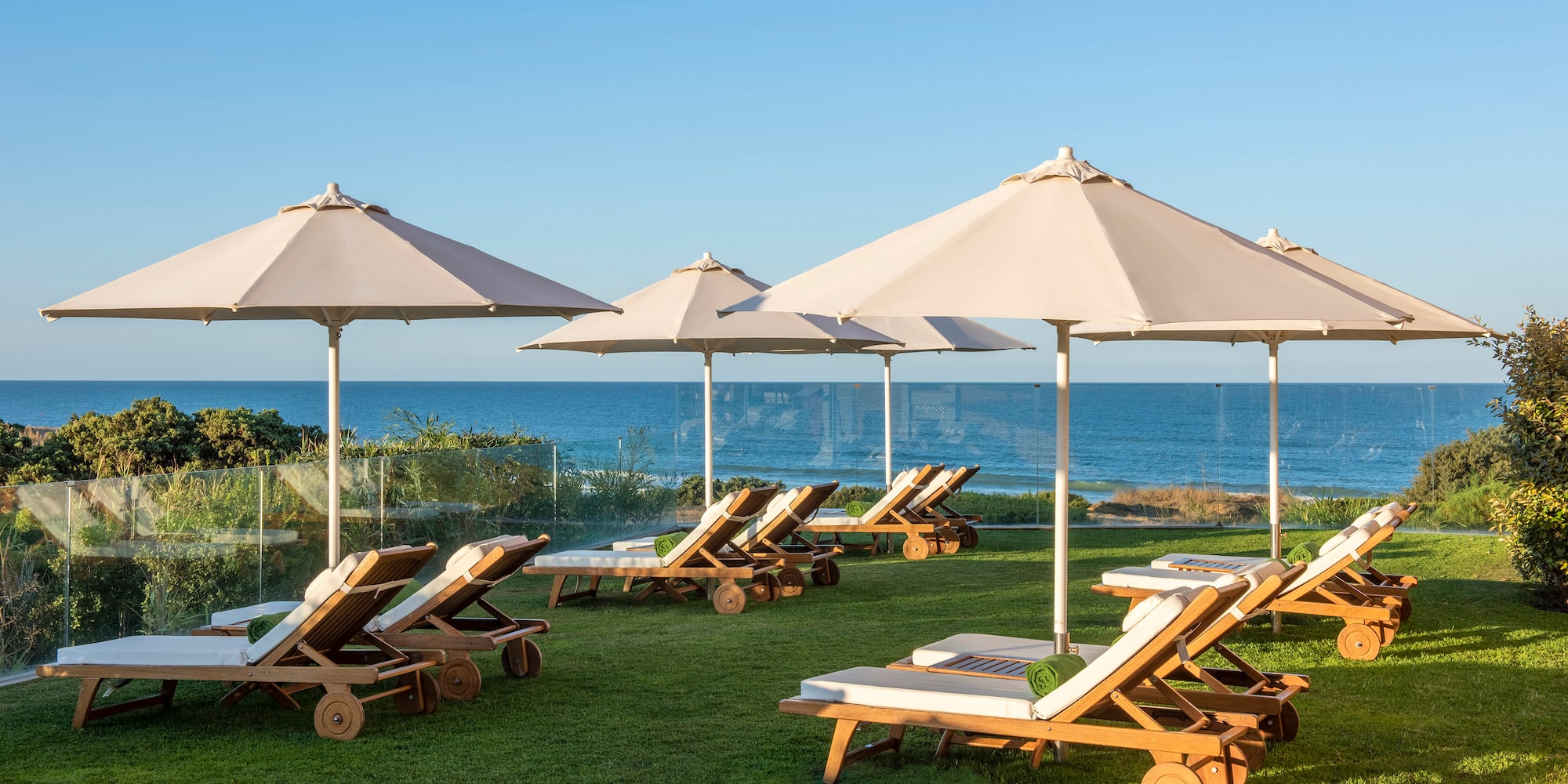 a group of chairs and umbrellas on grass