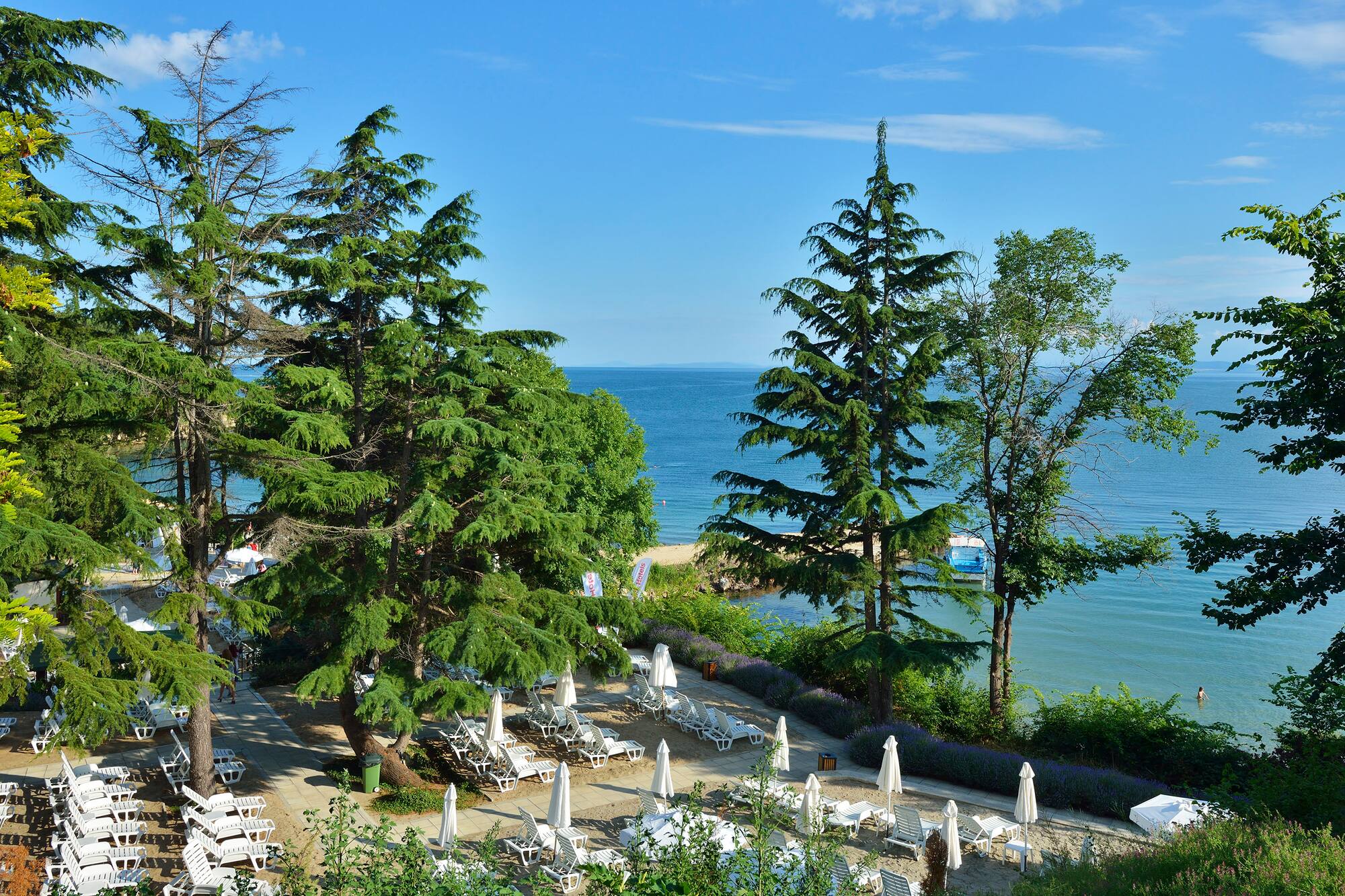a beach with chairs and umbrellas and trees