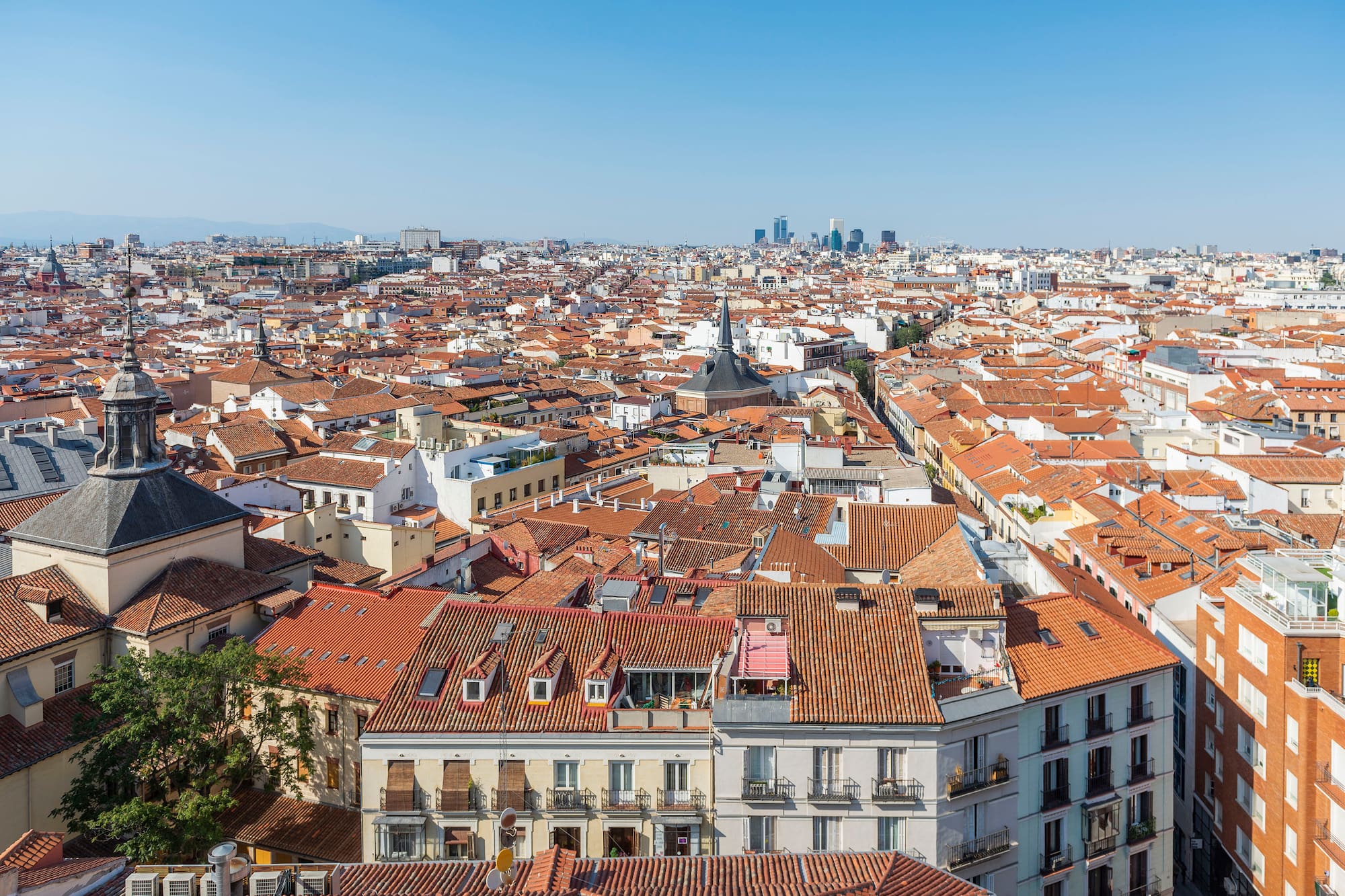 a city with many red roofs