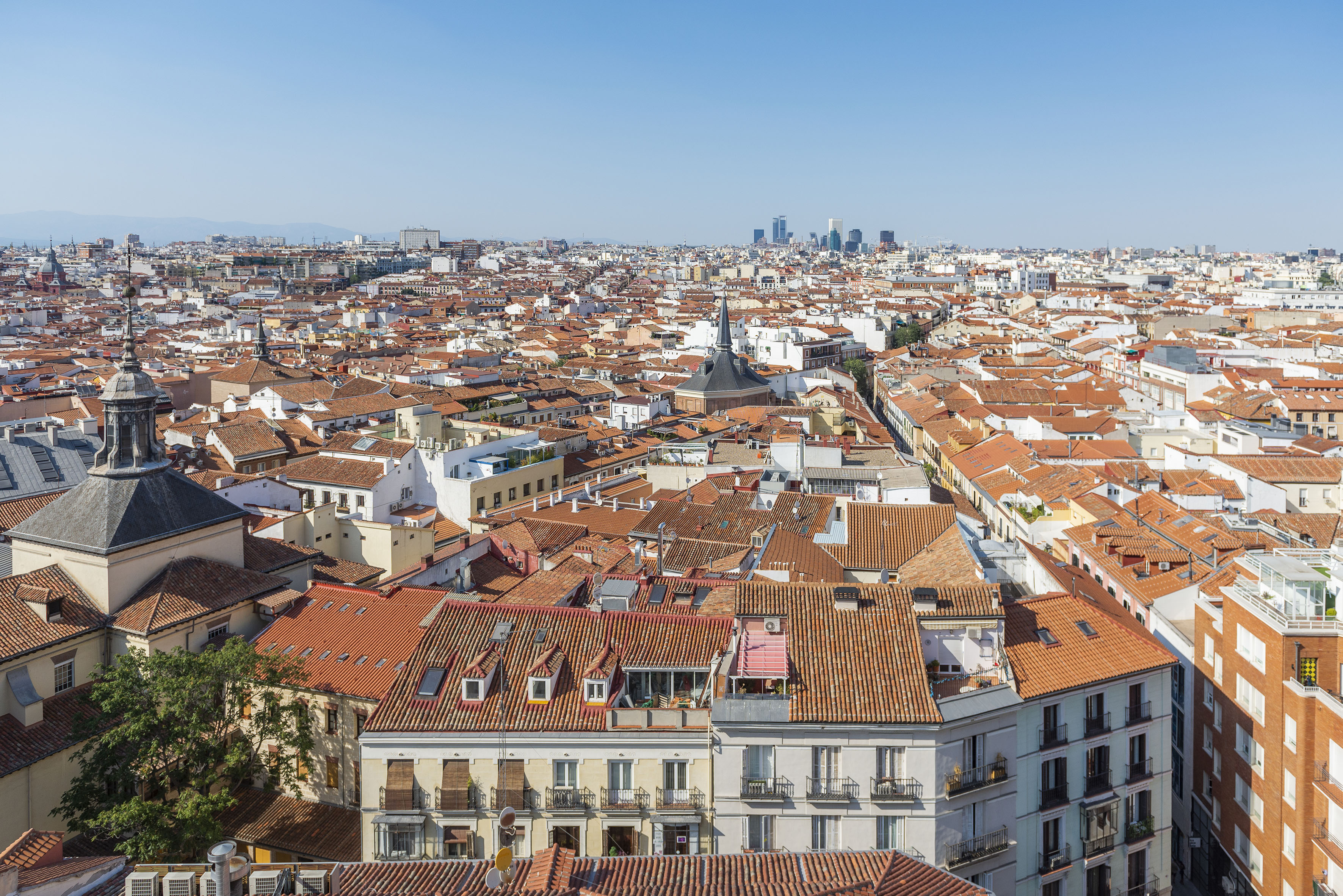 a city with many red roofs