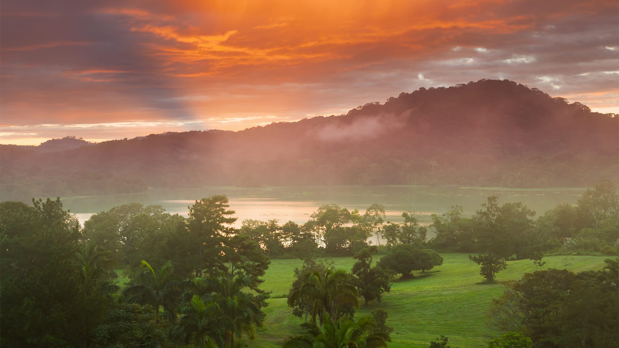 a landscape with trees and a body of water