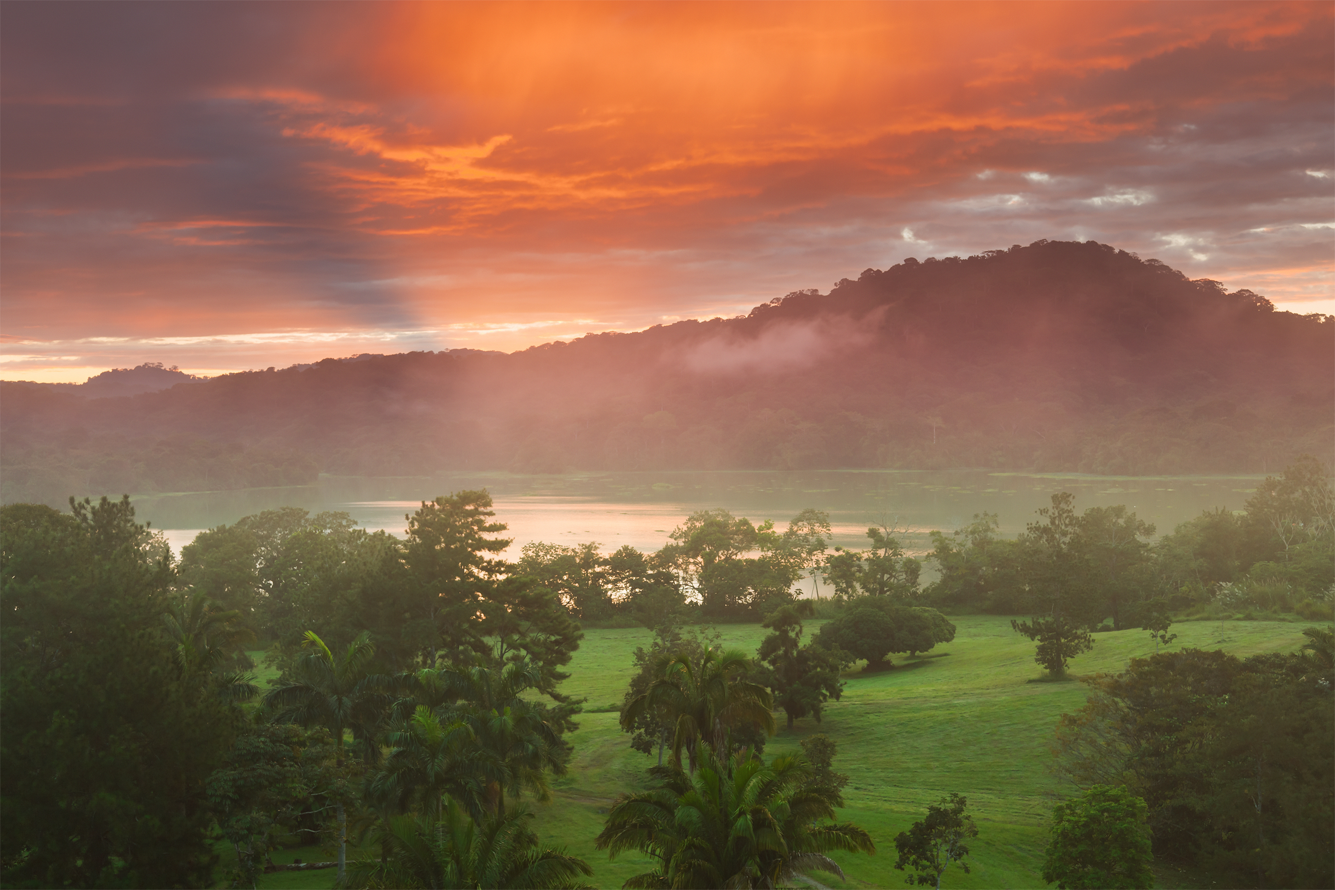 a landscape with trees and a body of water