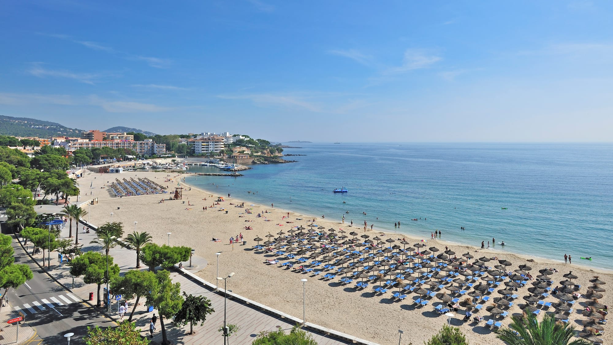 a beach with many umbrellas and people on it
