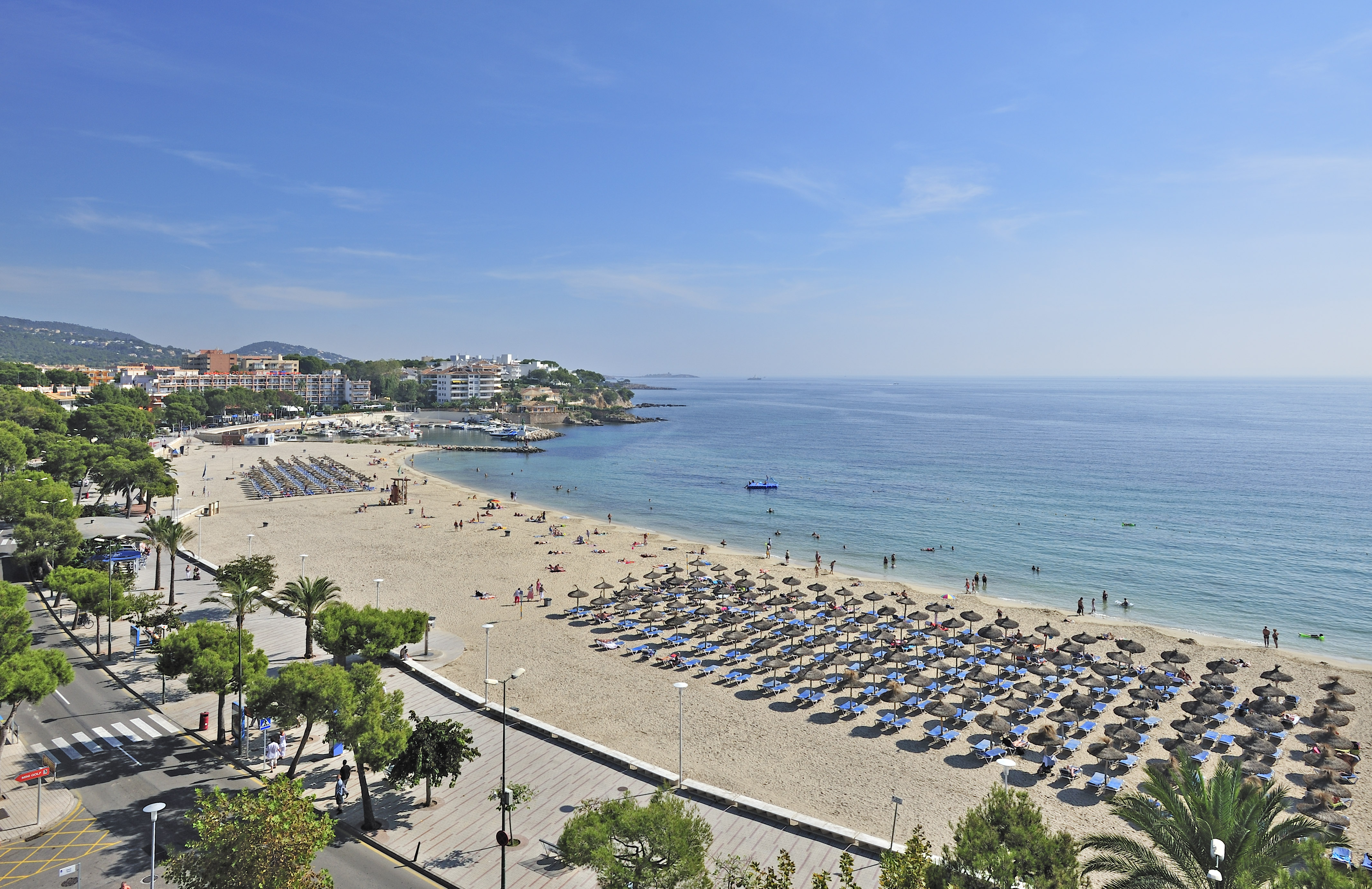 a beach with many umbrellas and people on it