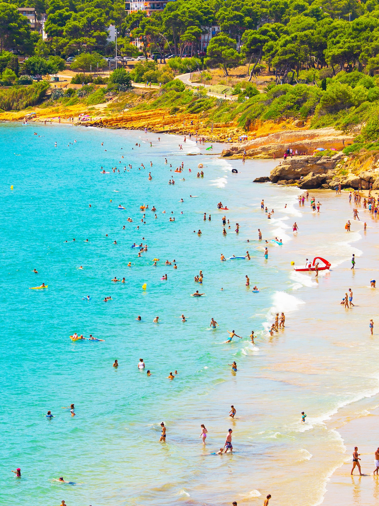 a large group of people on a beach
