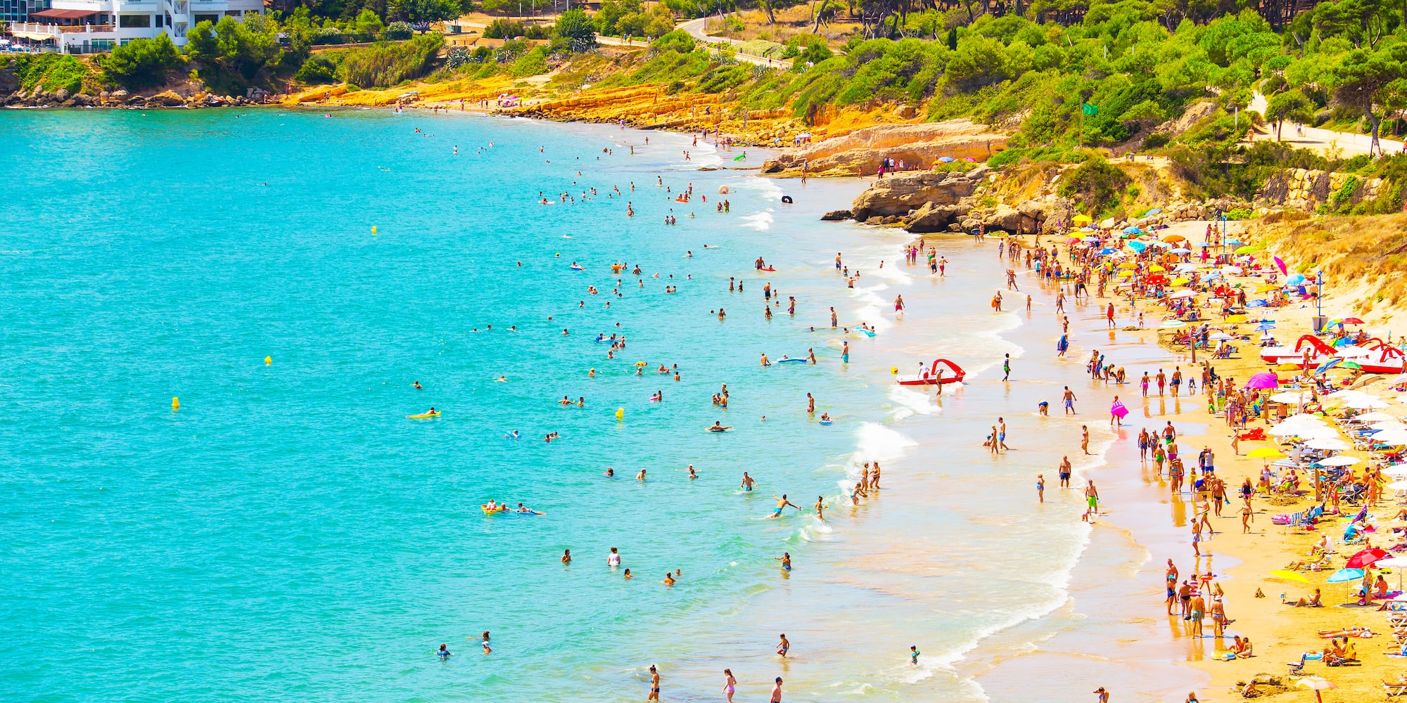a large group of people on a beach