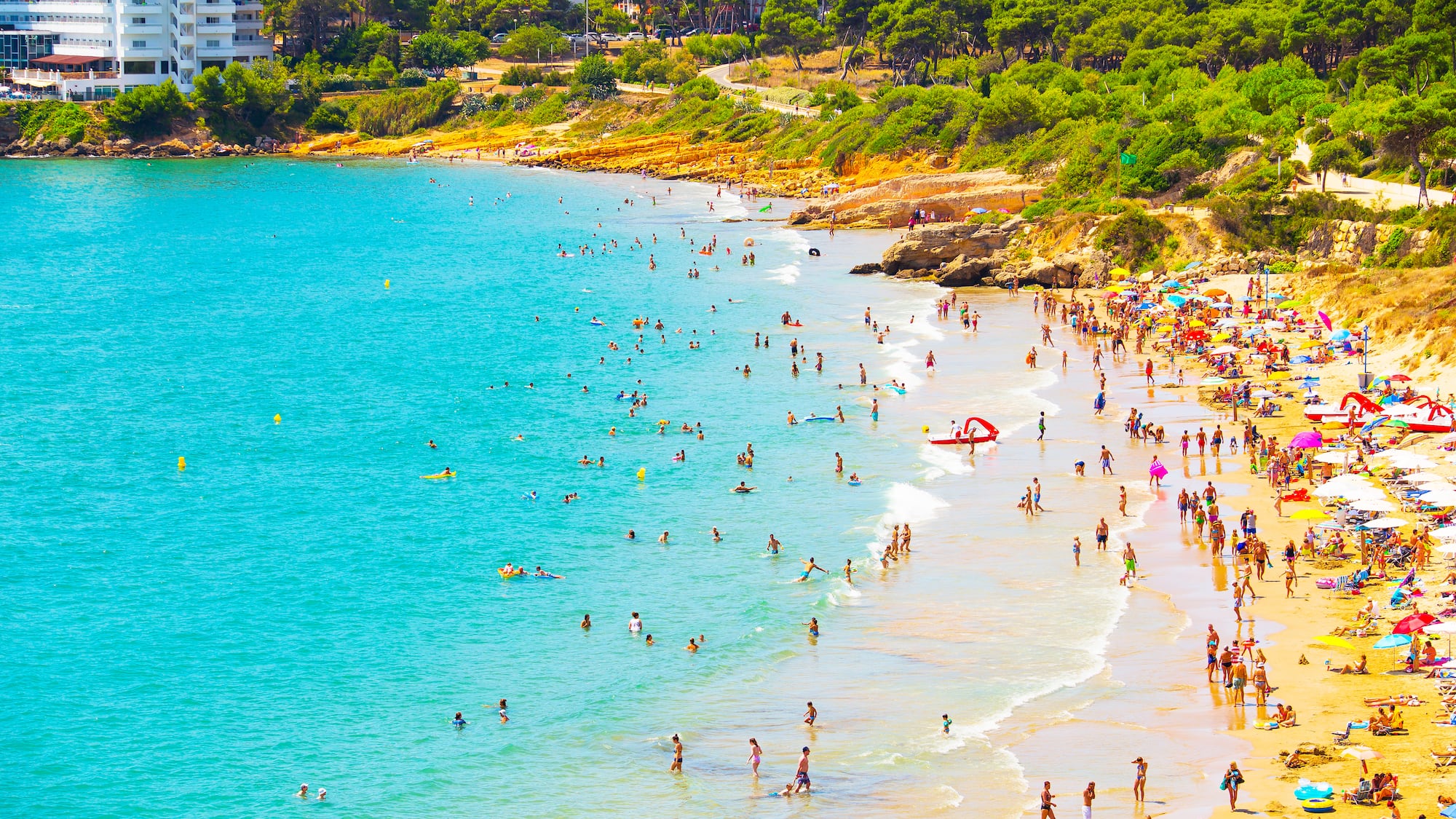 a large group of people on a beach