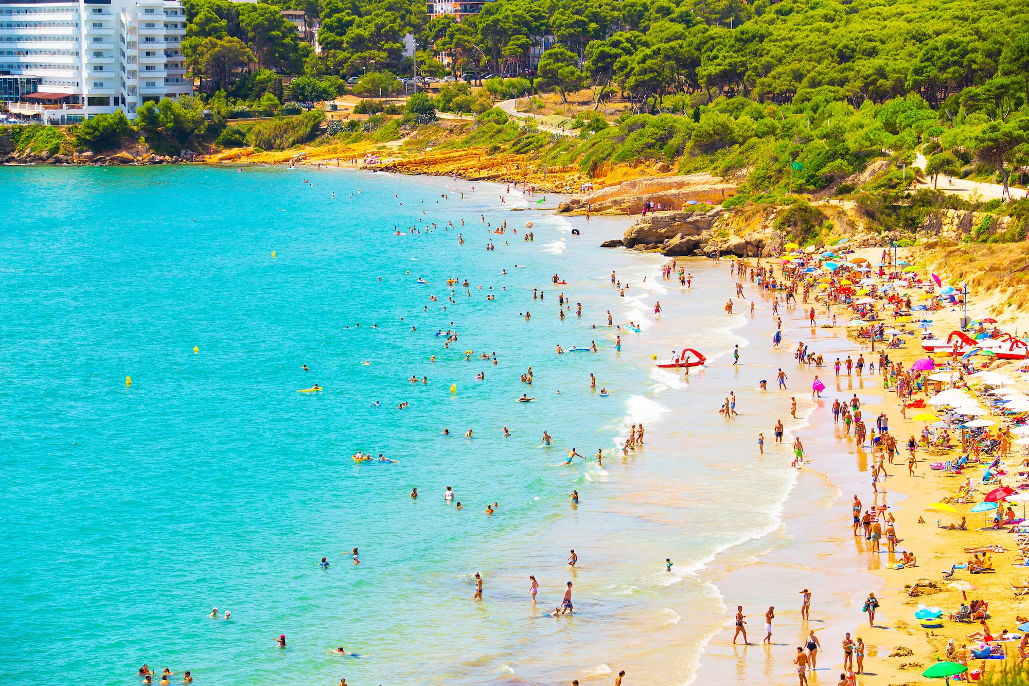a large group of people on a beach