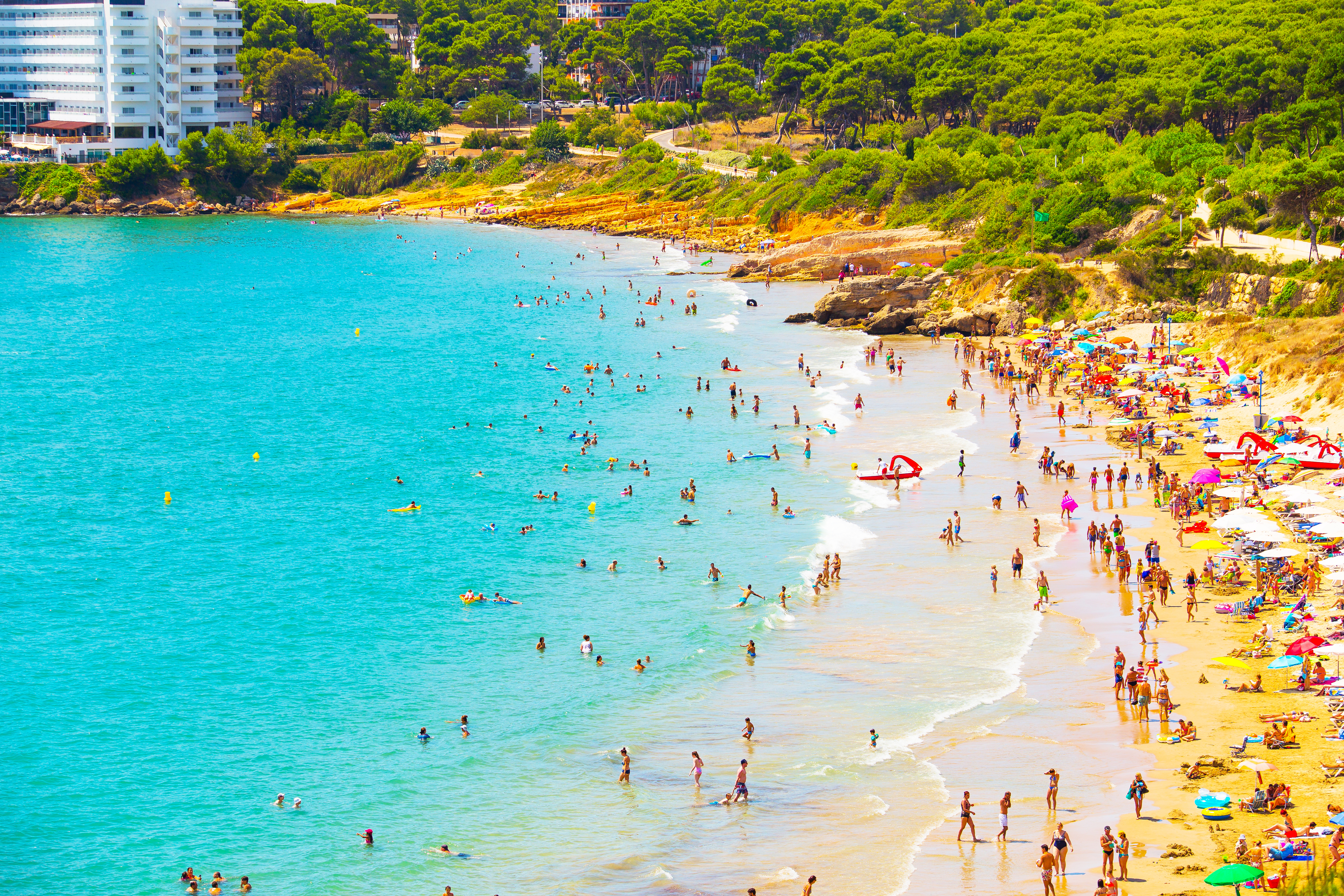 a large group of people on a beach