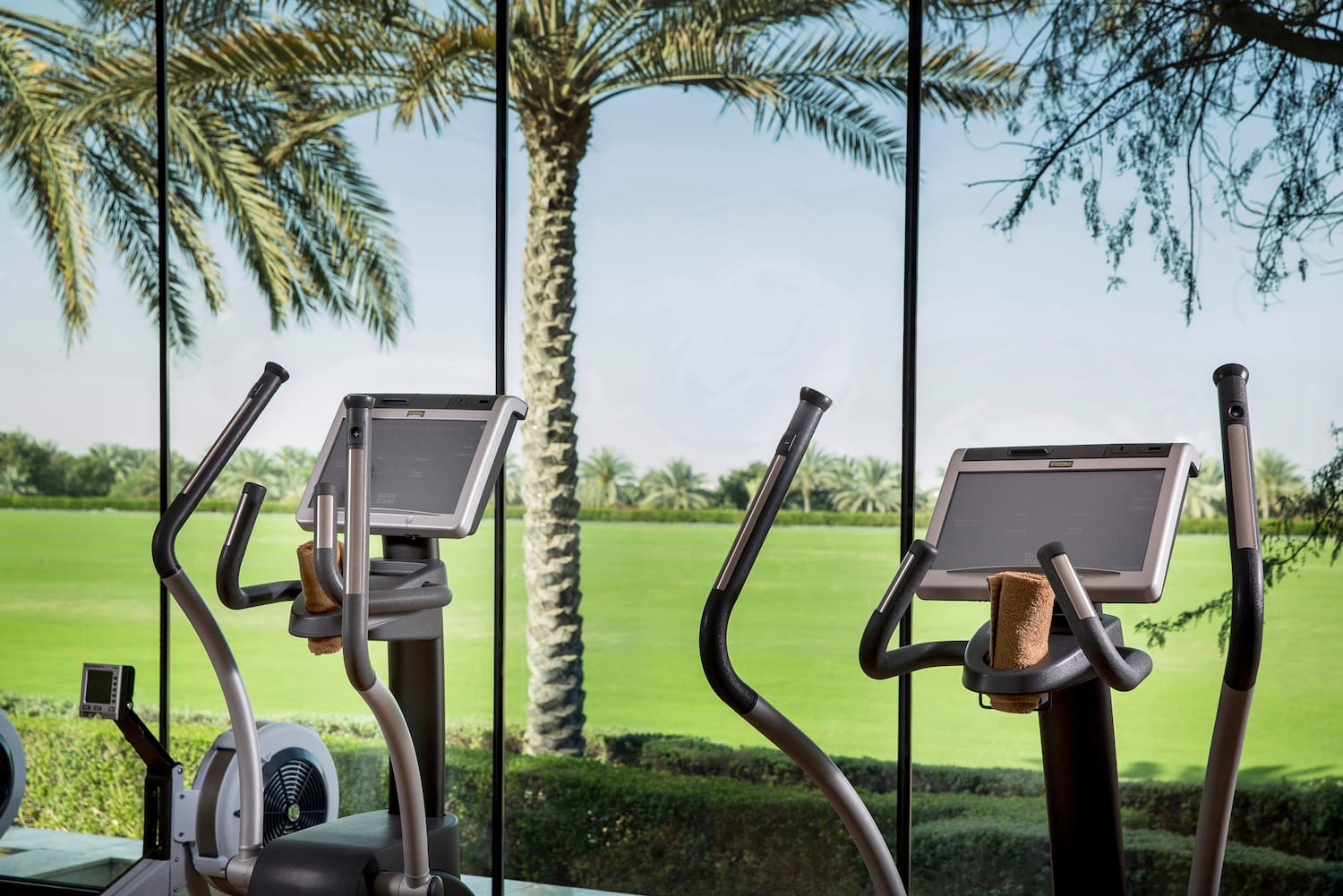 a group of exercise machines in a room with palm trees