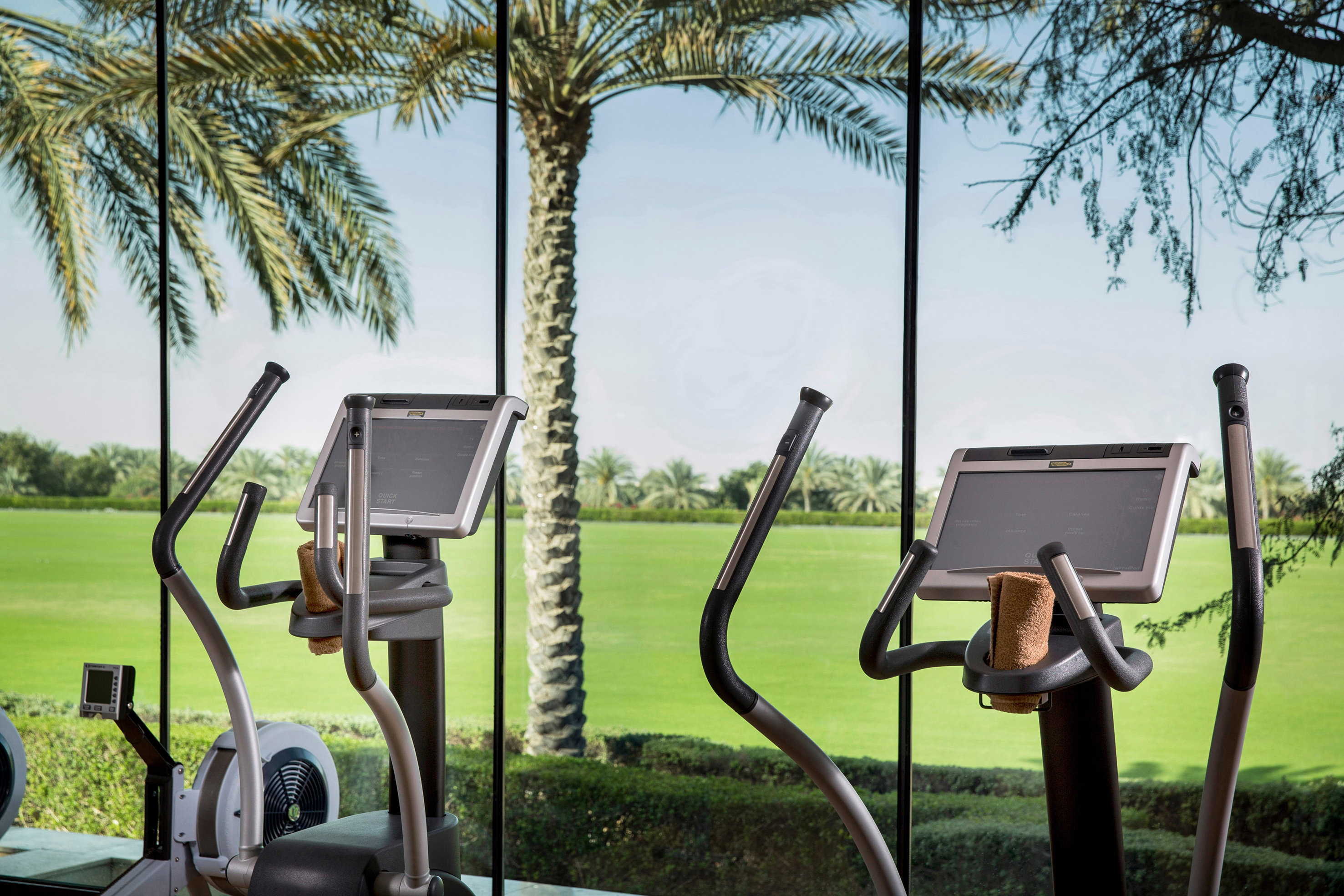 Elliptical machines in a gym overlooking palm trees and a manicured green field.