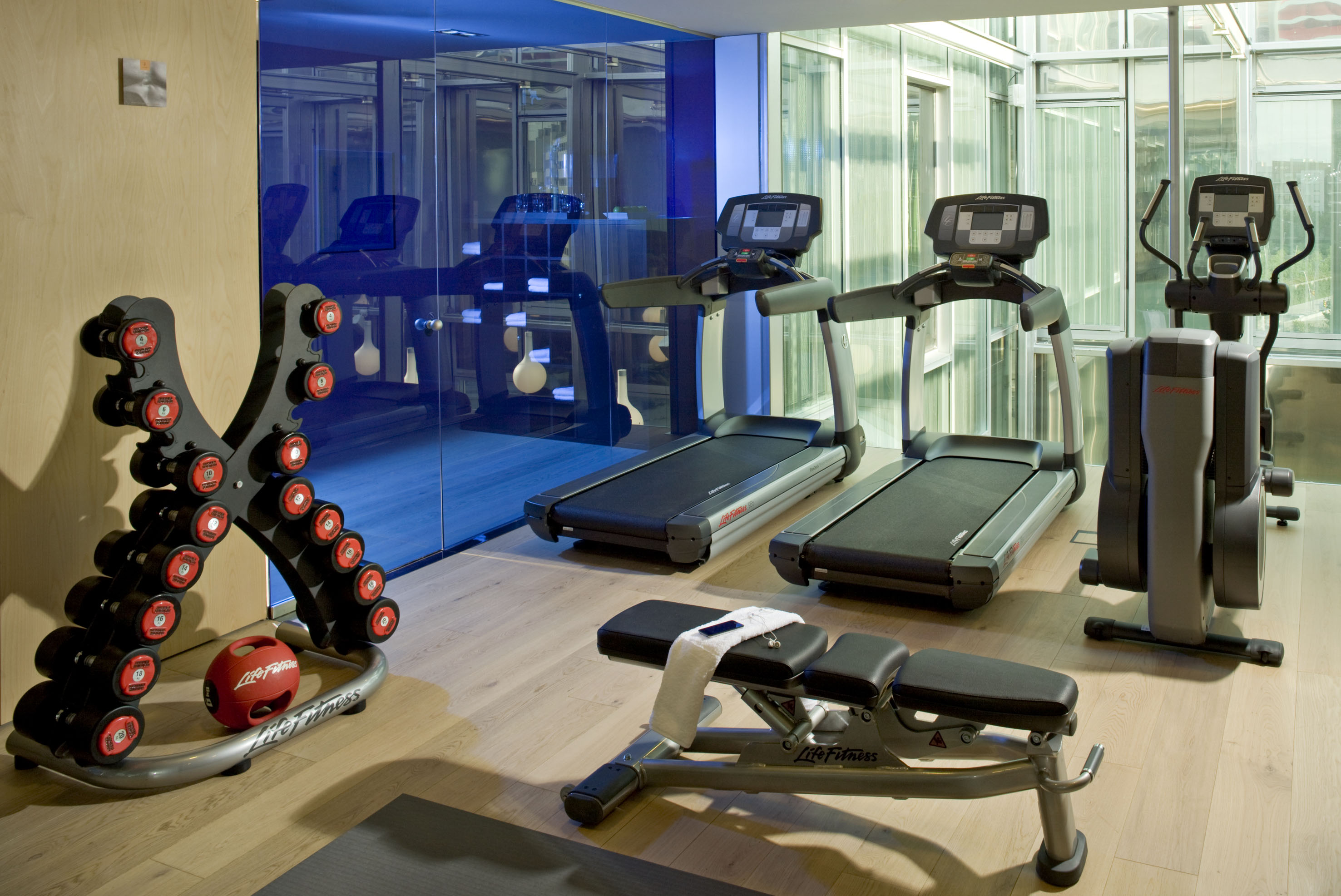 Life Fitness gym with treadmills, elliptical, dumbbells, and workout bench.