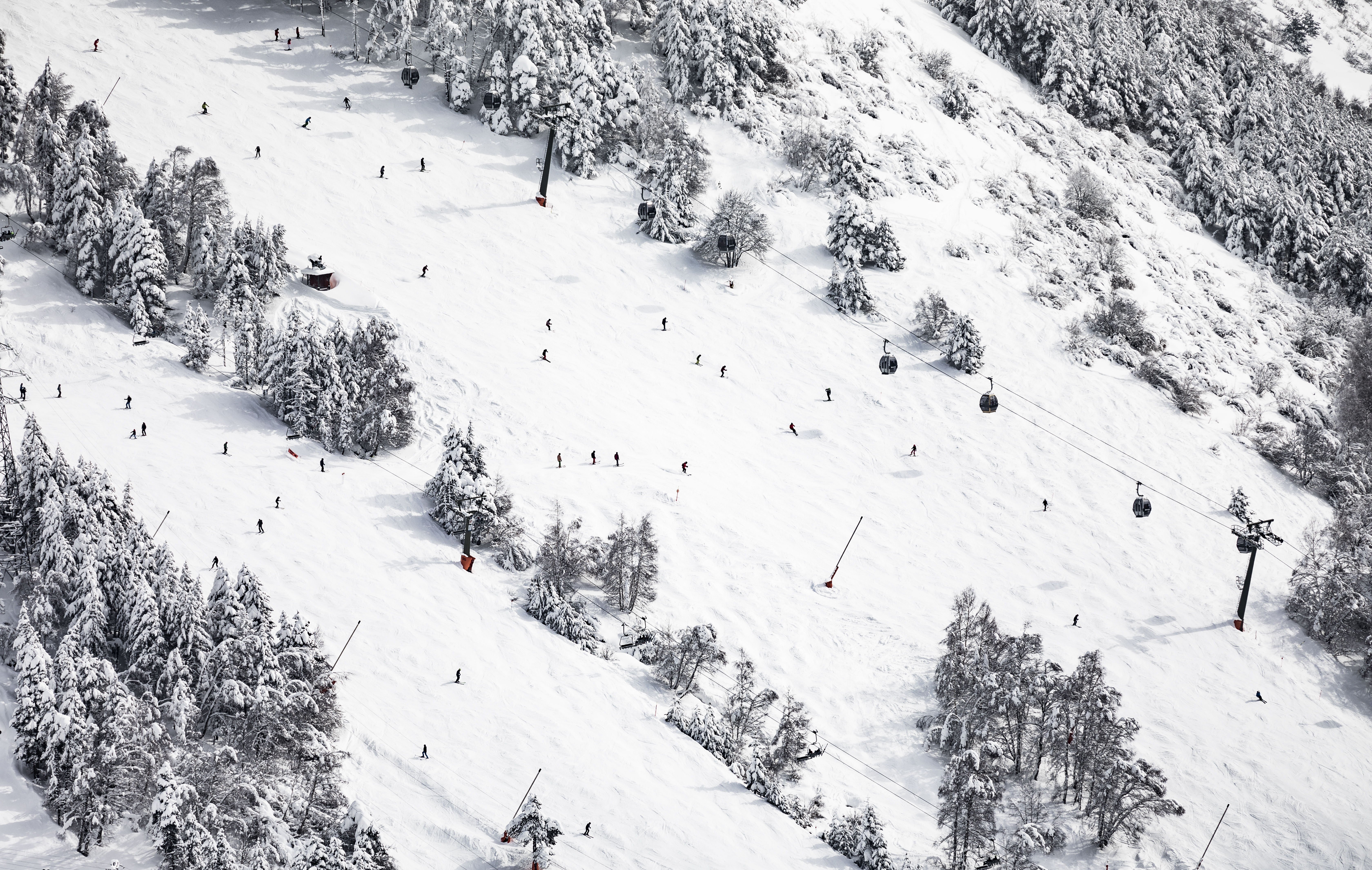 Busy ski slope with skiers, snow-covered trees, and gondola lifts.
