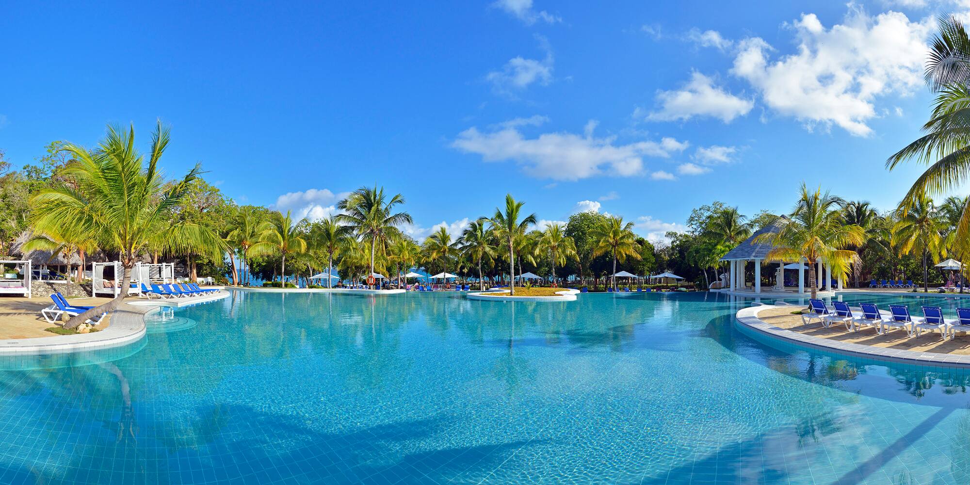 a pool with palm trees and people around it