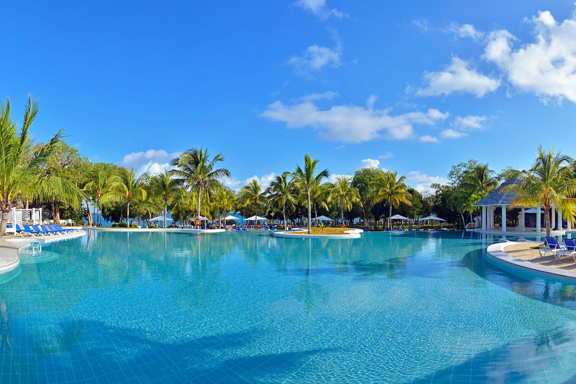 a pool with palm trees and people around it
