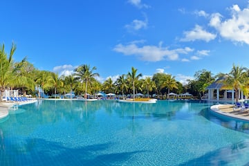 a pool with palm trees and people around it