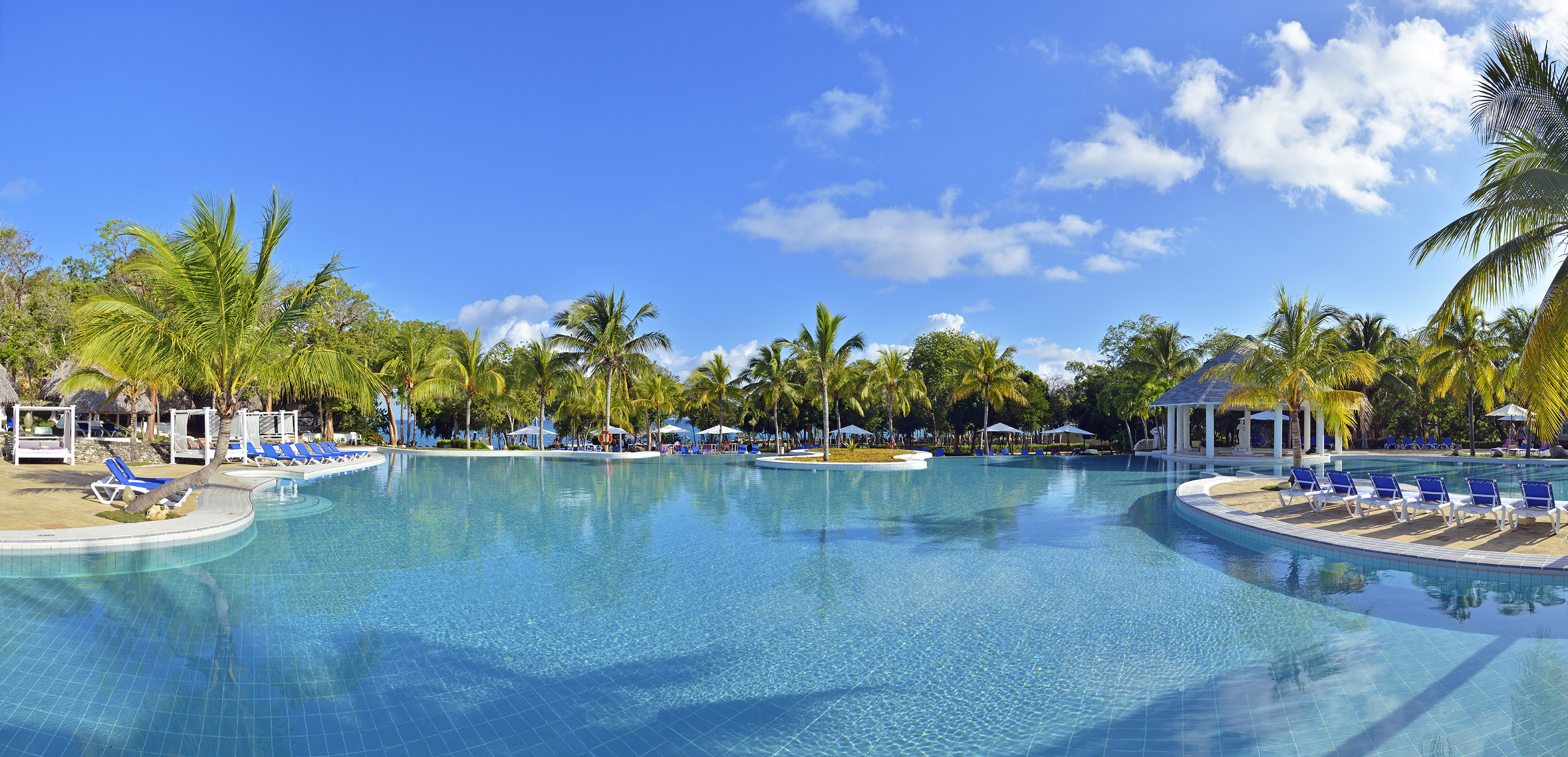a pool with palm trees and people around it