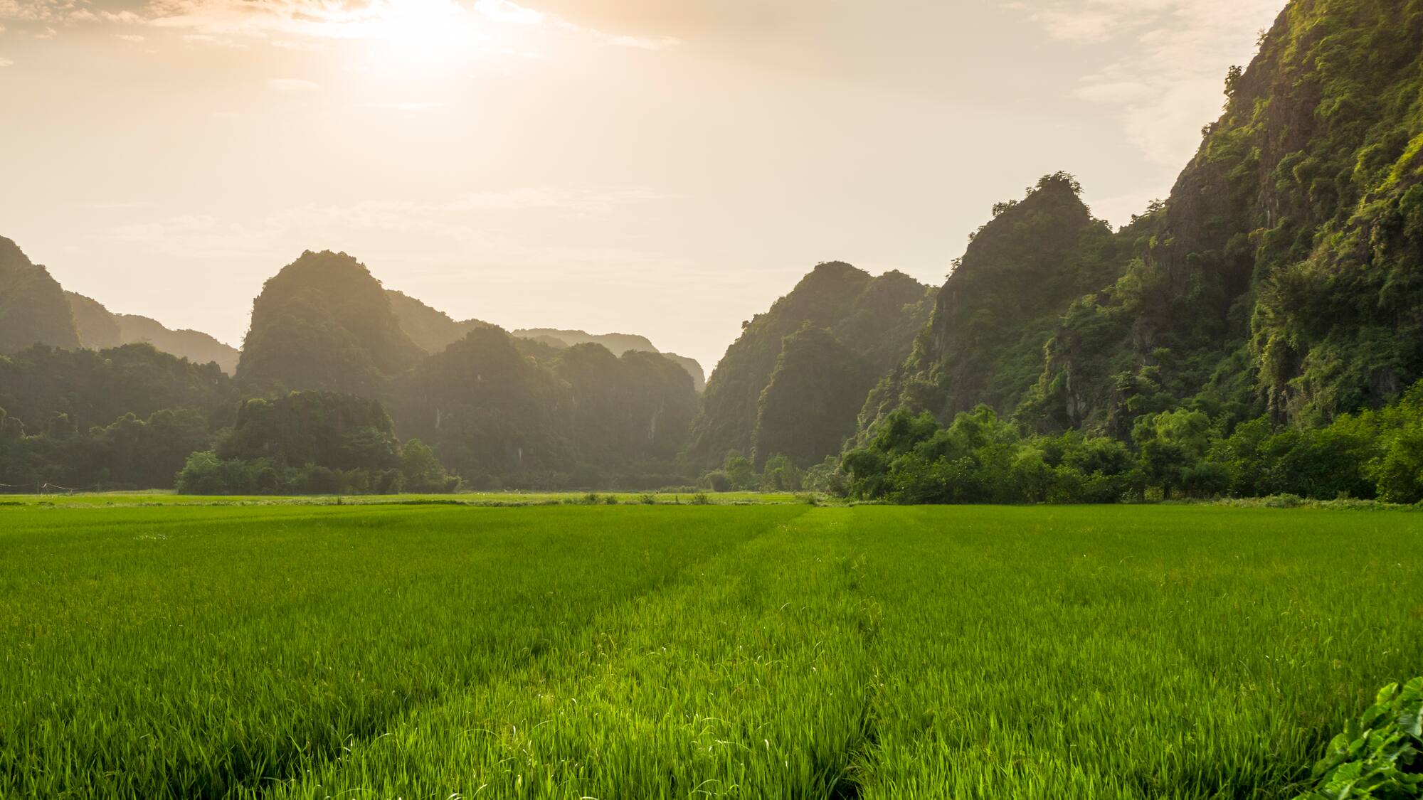 a green field with mountains in the background with Li River in the background