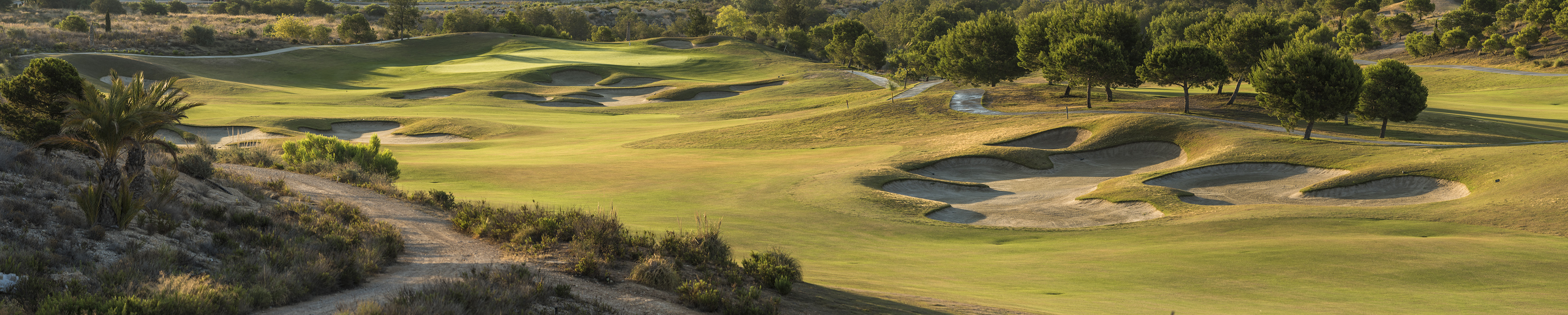 Sunny golf course with green fairways, many sand bunkers, and scattered trees.