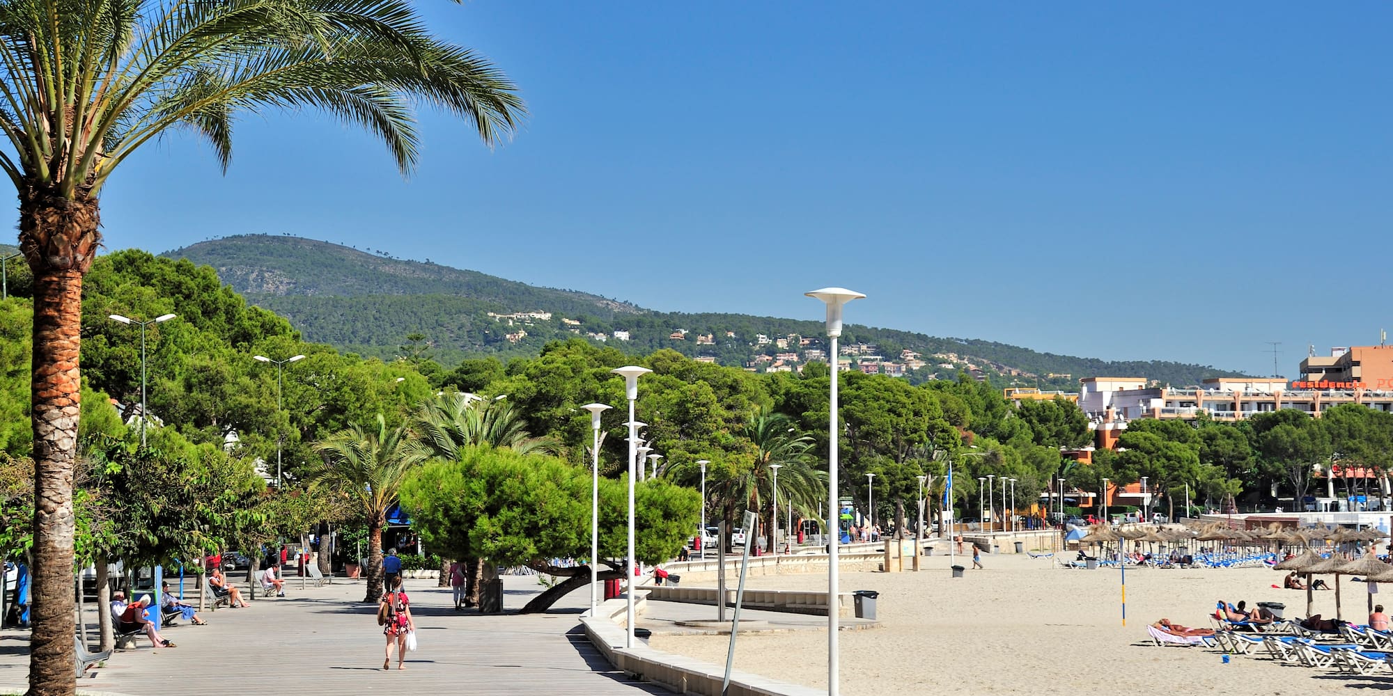a beach with palm trees and people on it