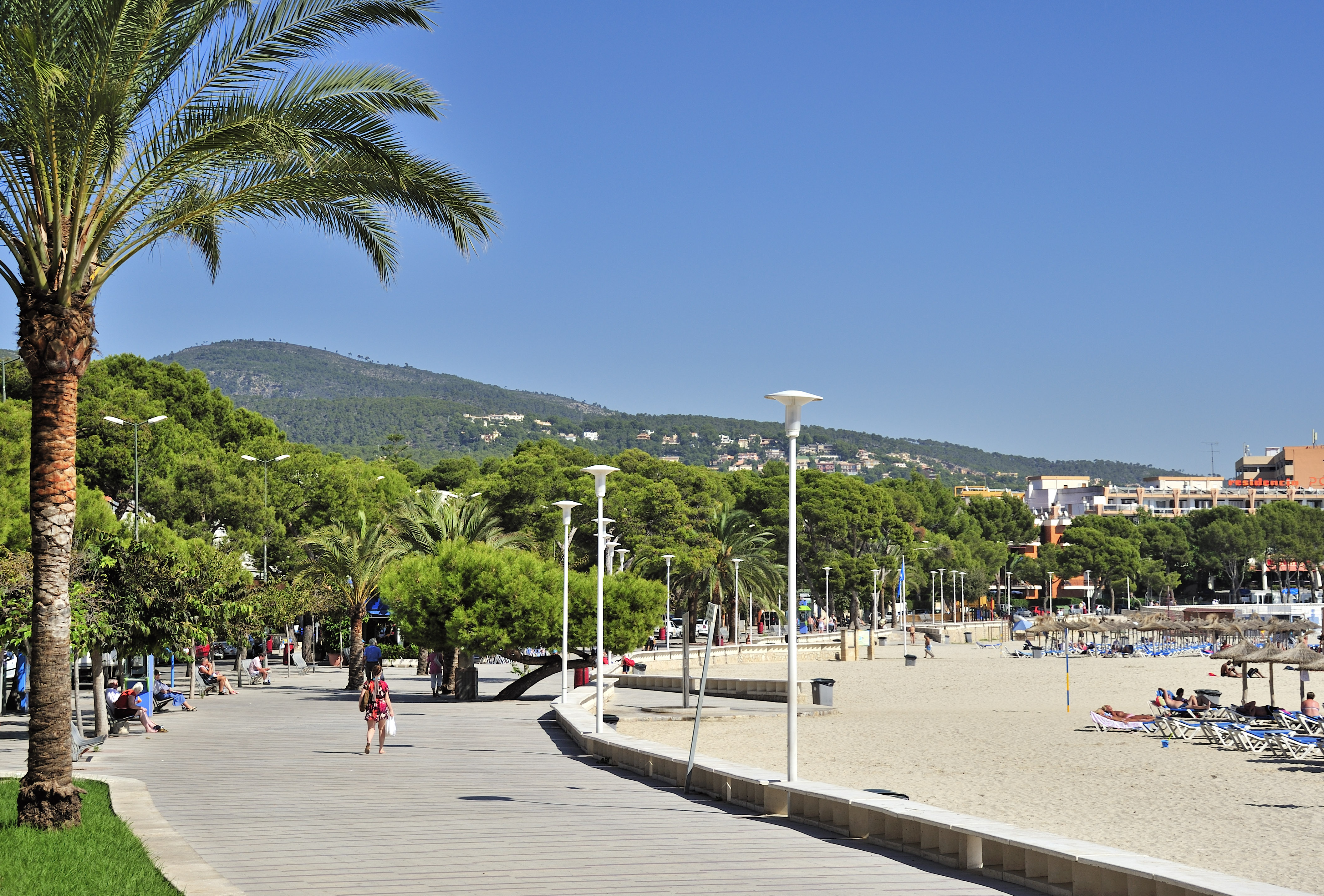 a beach with palm trees and people on it
