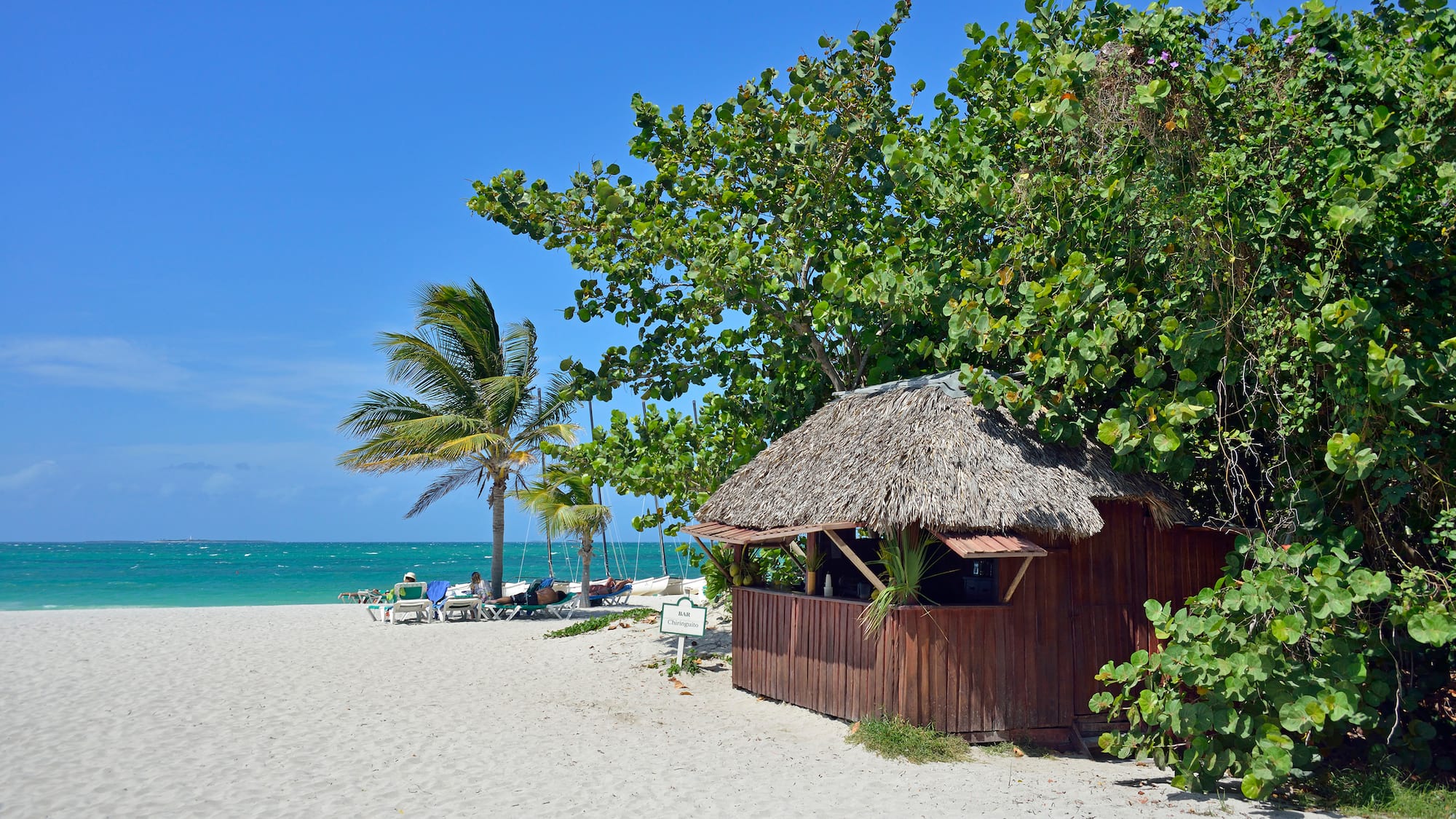 a hut on a beach