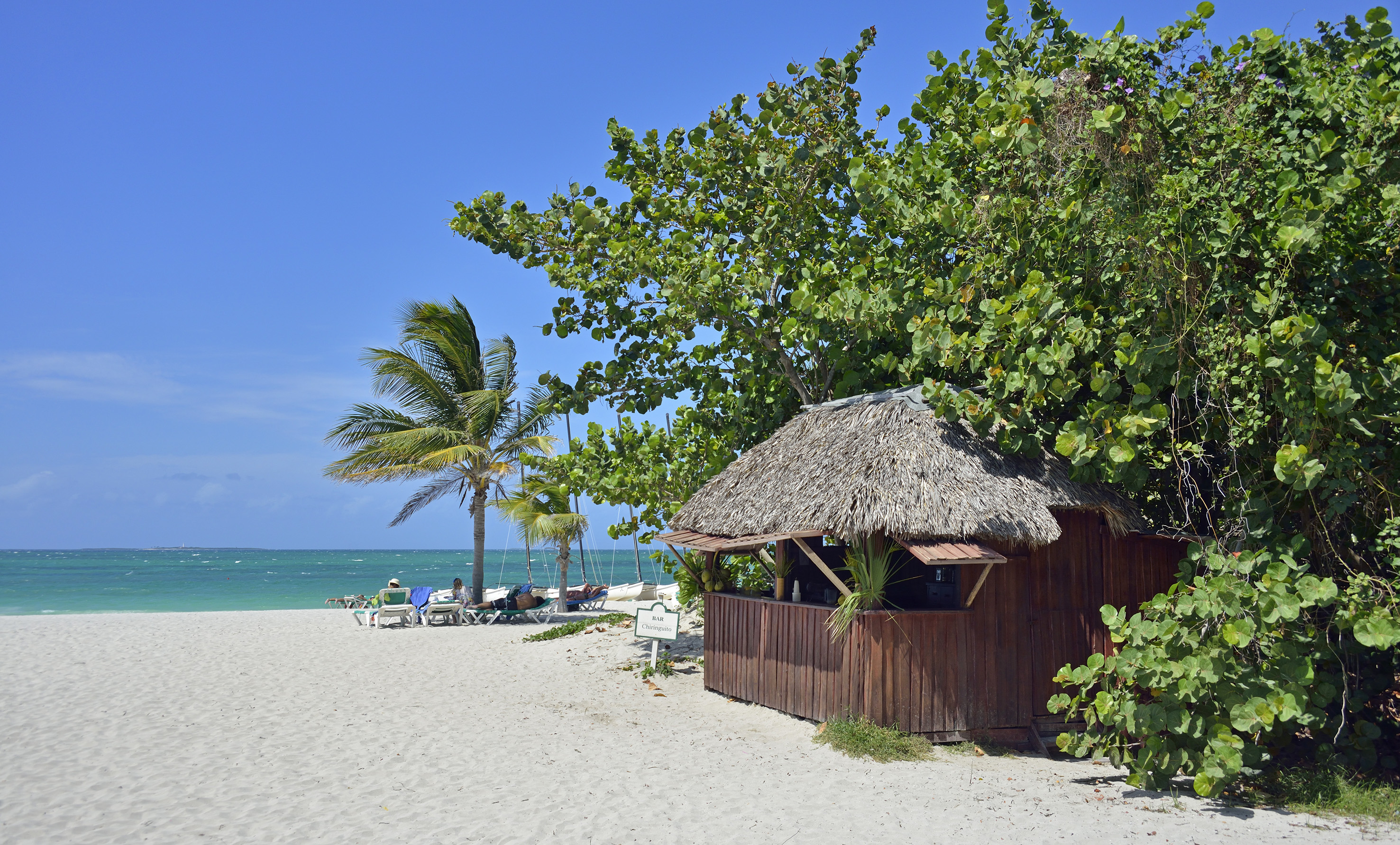 a hut on a beach