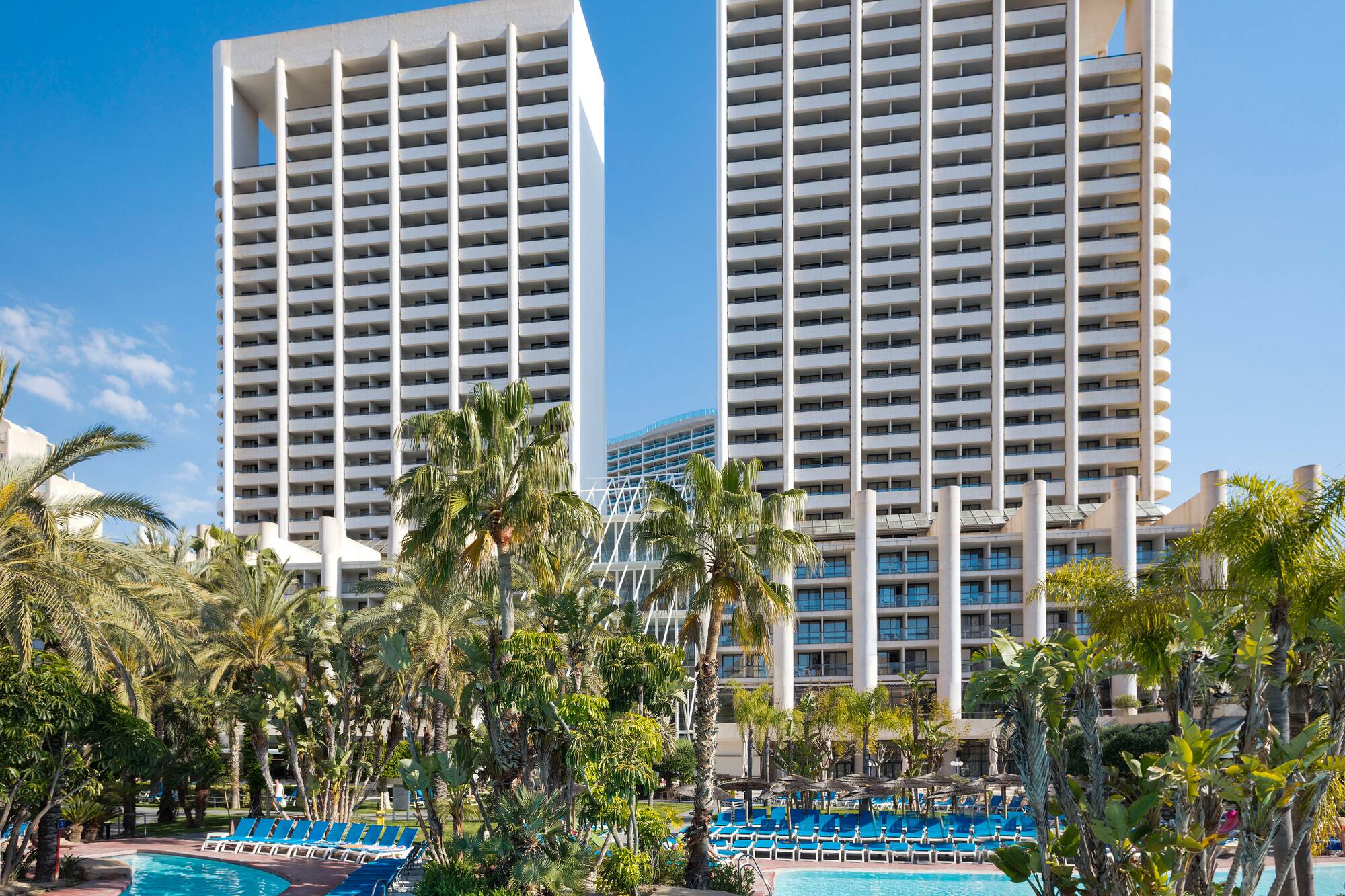 a pool with palm trees and buildings