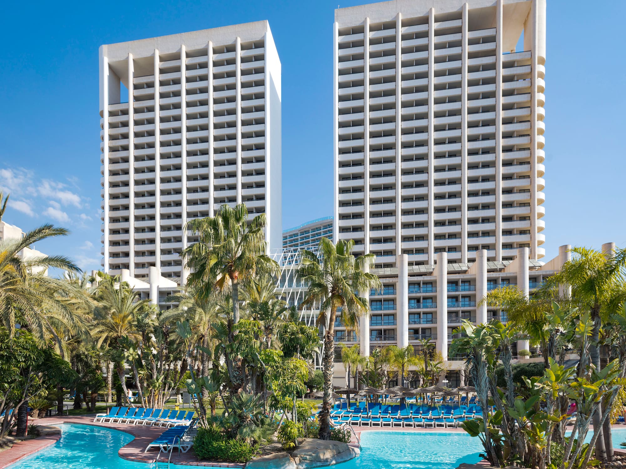 a pool with palm trees and buildings