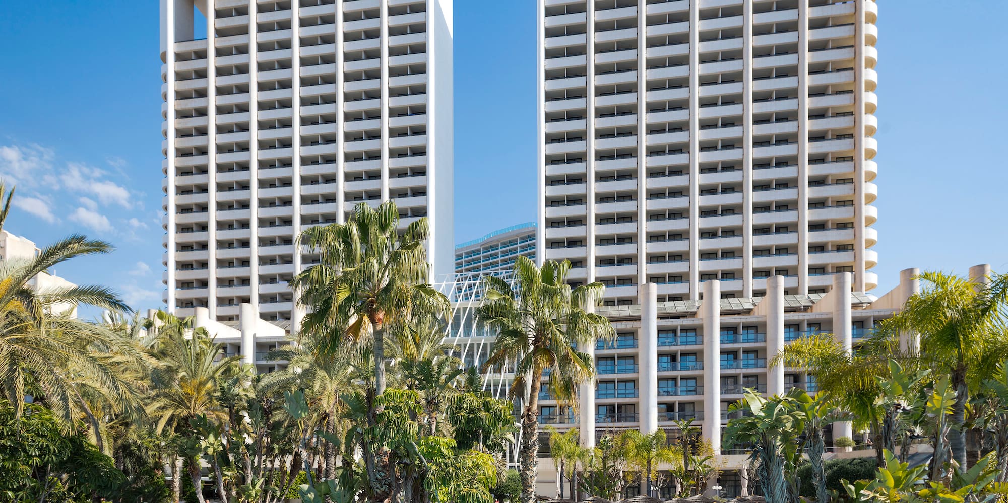 a pool with palm trees and buildings