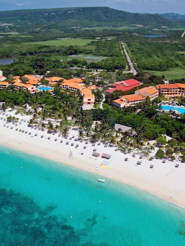 a beach with buildings and trees